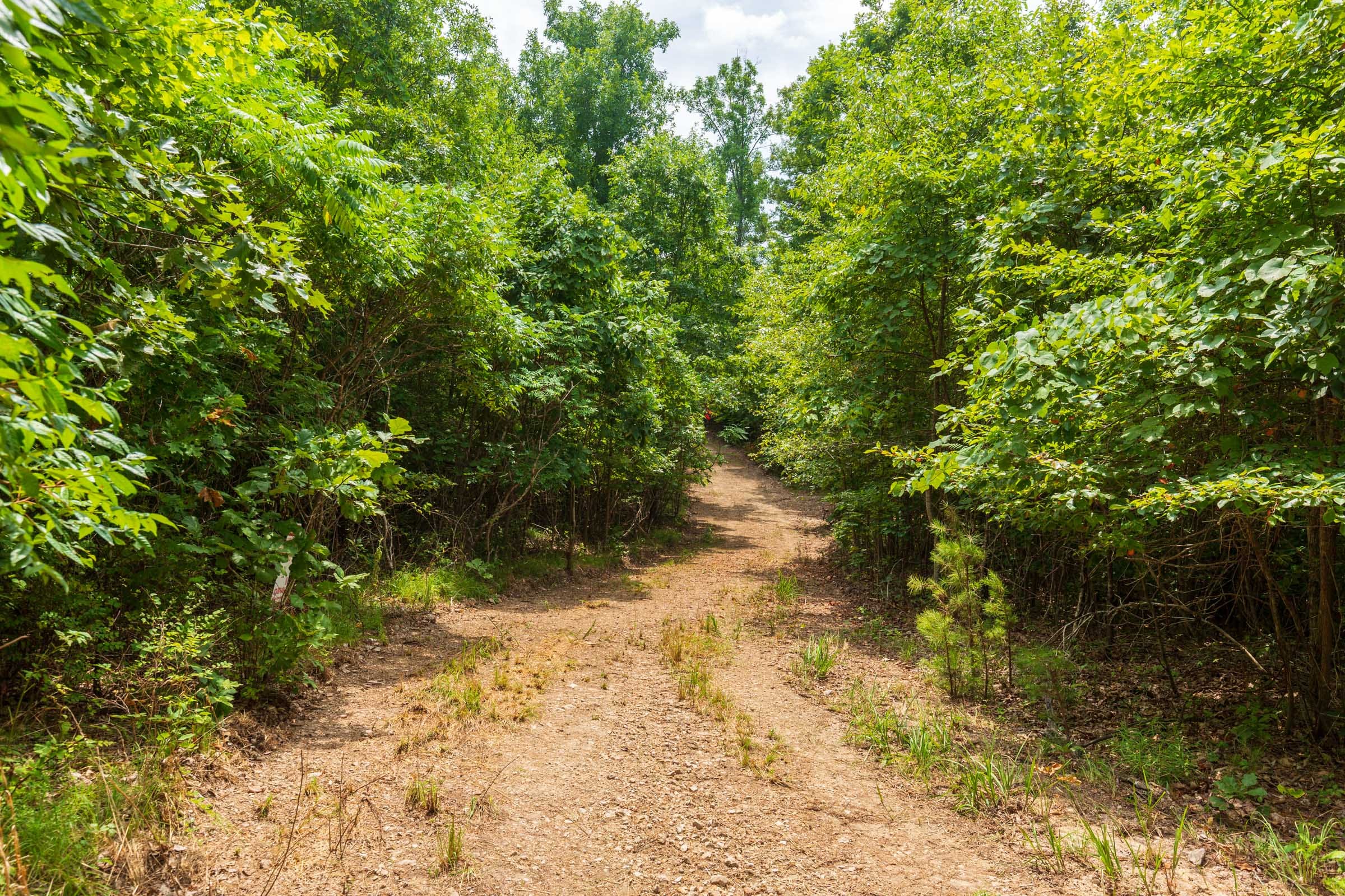 Cypress Ridge Tract 22 photo 1