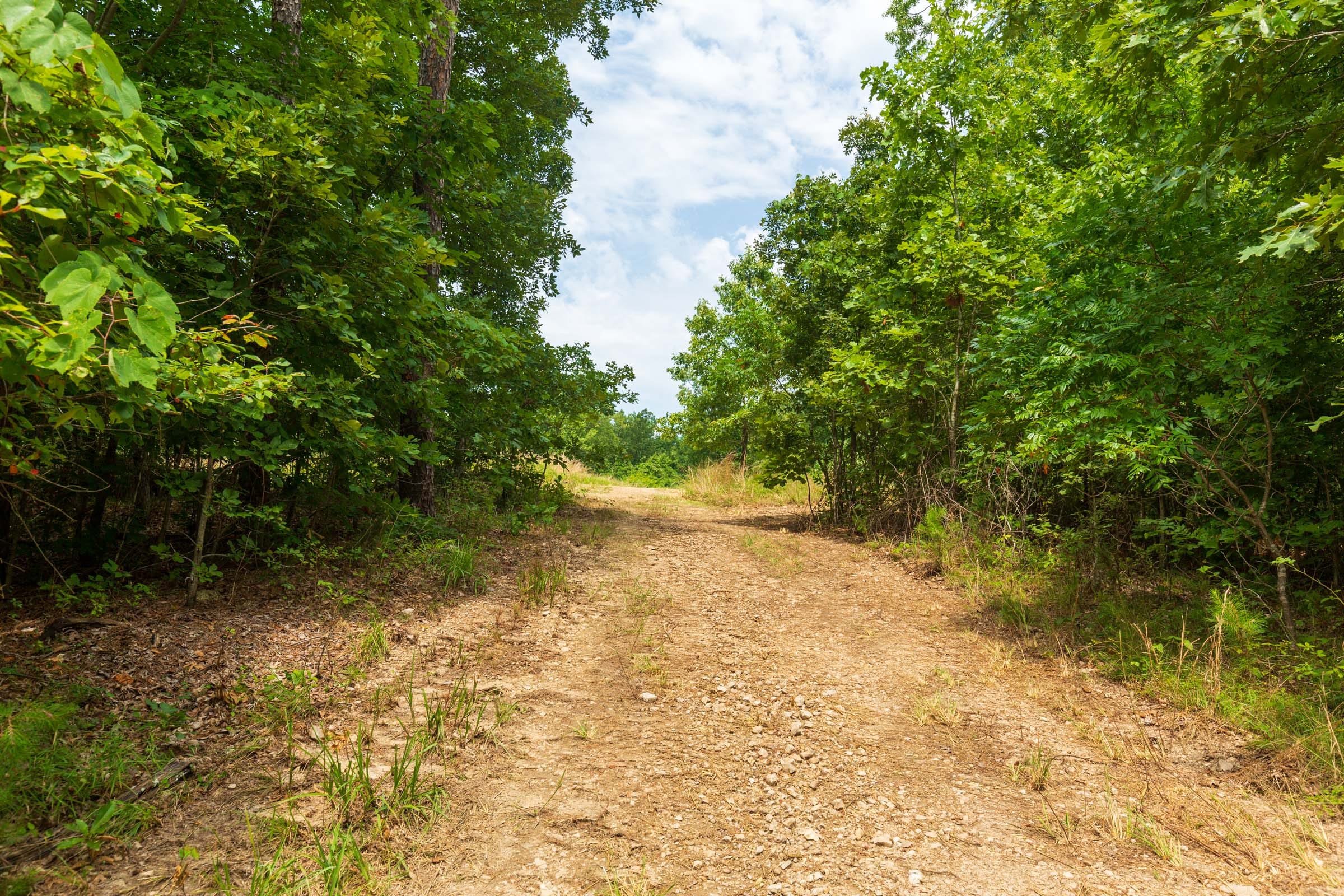 Cypress Ridge Tract 22 photo 10
