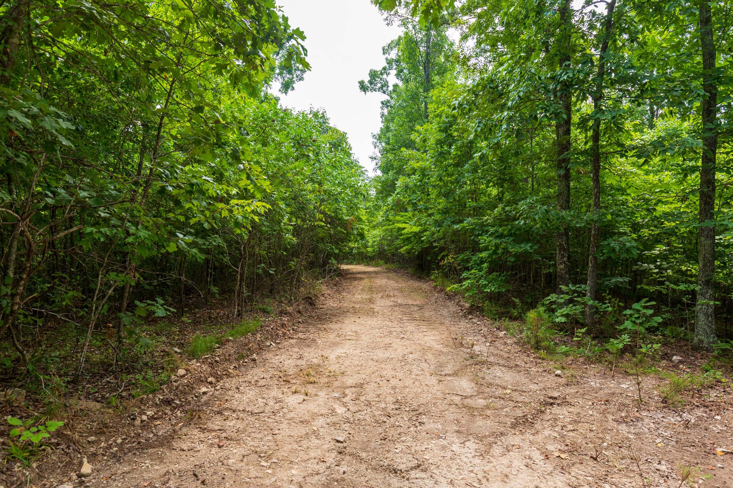 Cypress Ridge Tract 22 photo 7