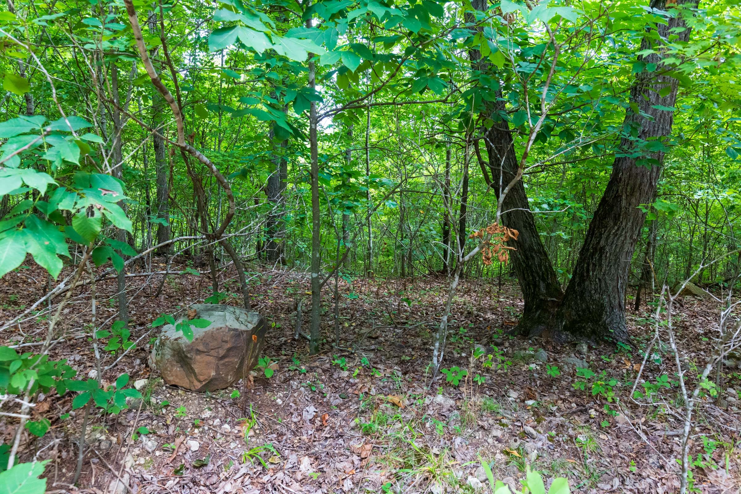 Cypress Ridge Tract 22 photo 6