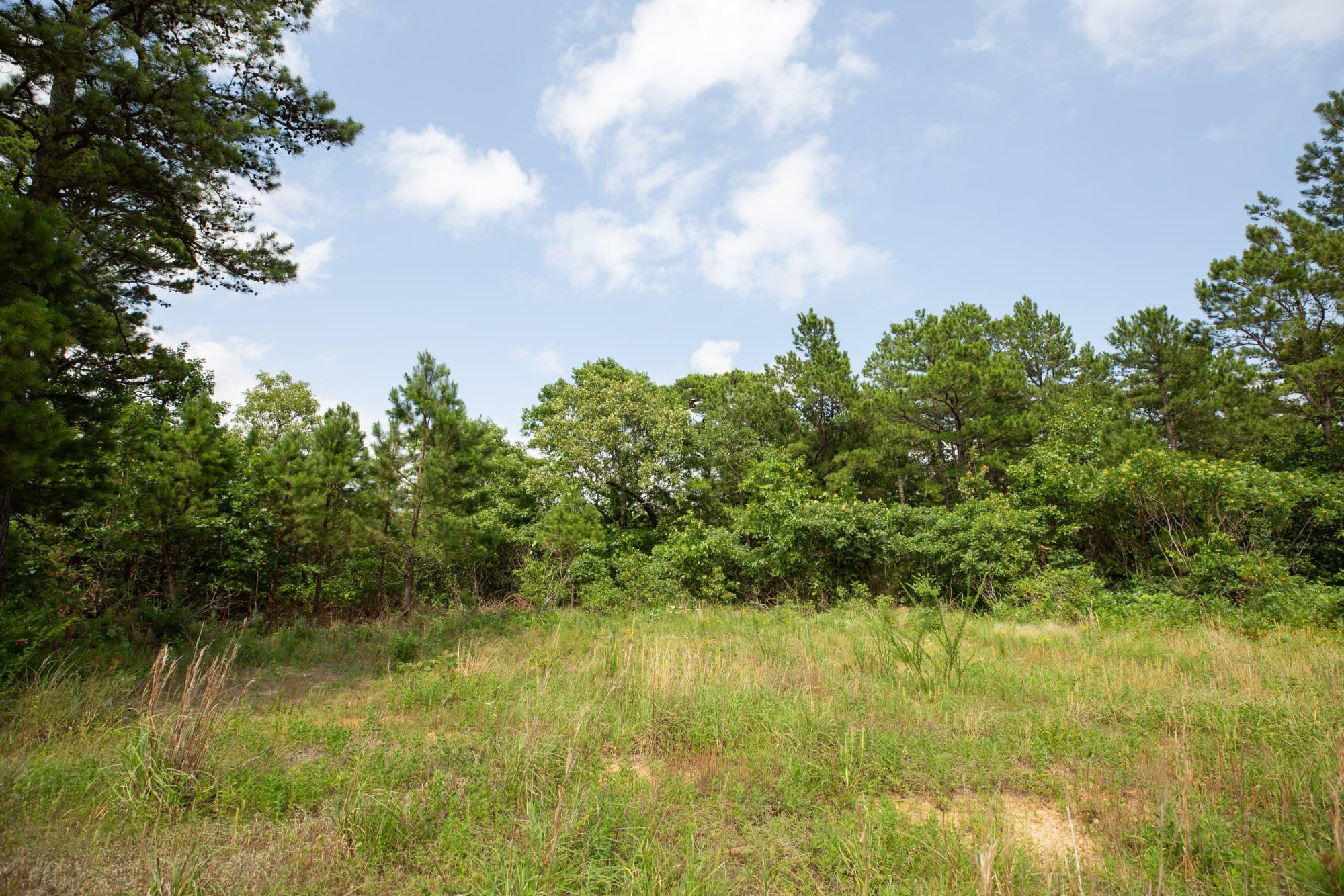 Eagle’s Nest Tract 43 photo 3