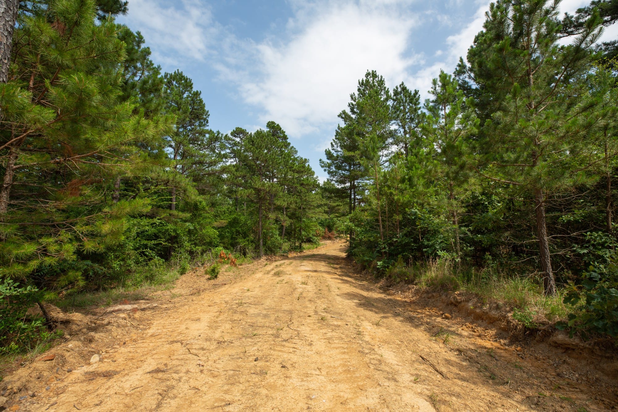 Eagle’s Nest Tract 43 photo 6