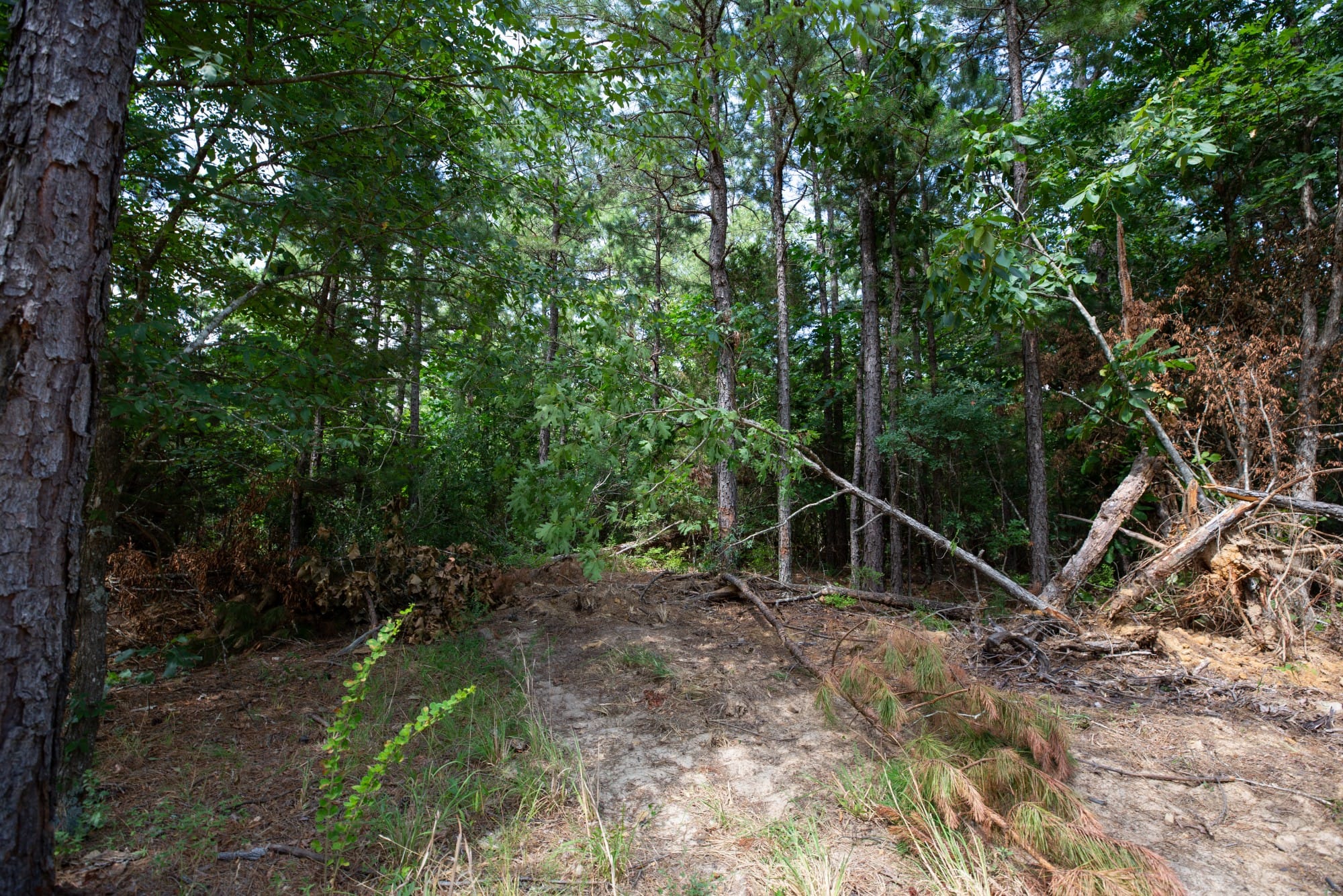 Eagle’s Nest Tract 43 photo 7