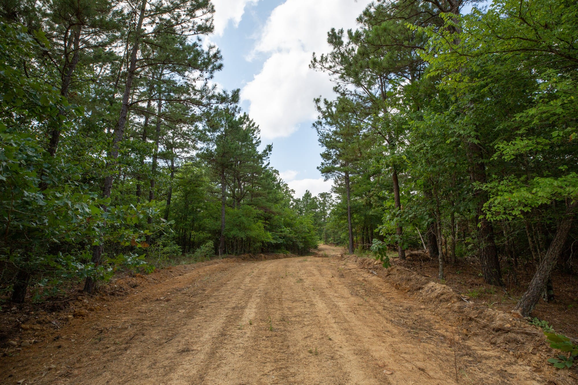 Eagle’s Nest Tract 43 photo 1