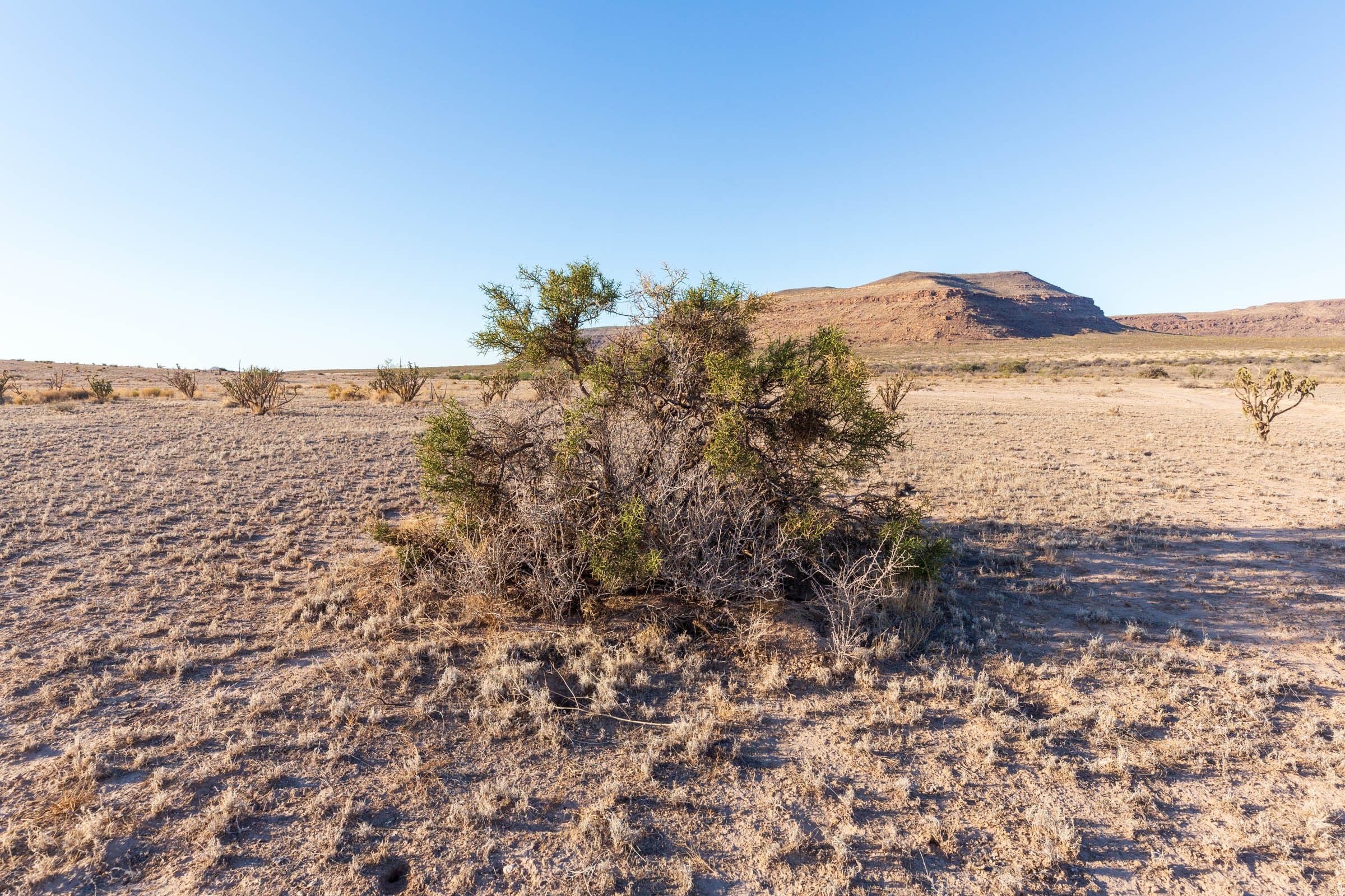 Sunrise Ranches Phase III Tract 90 photo 2