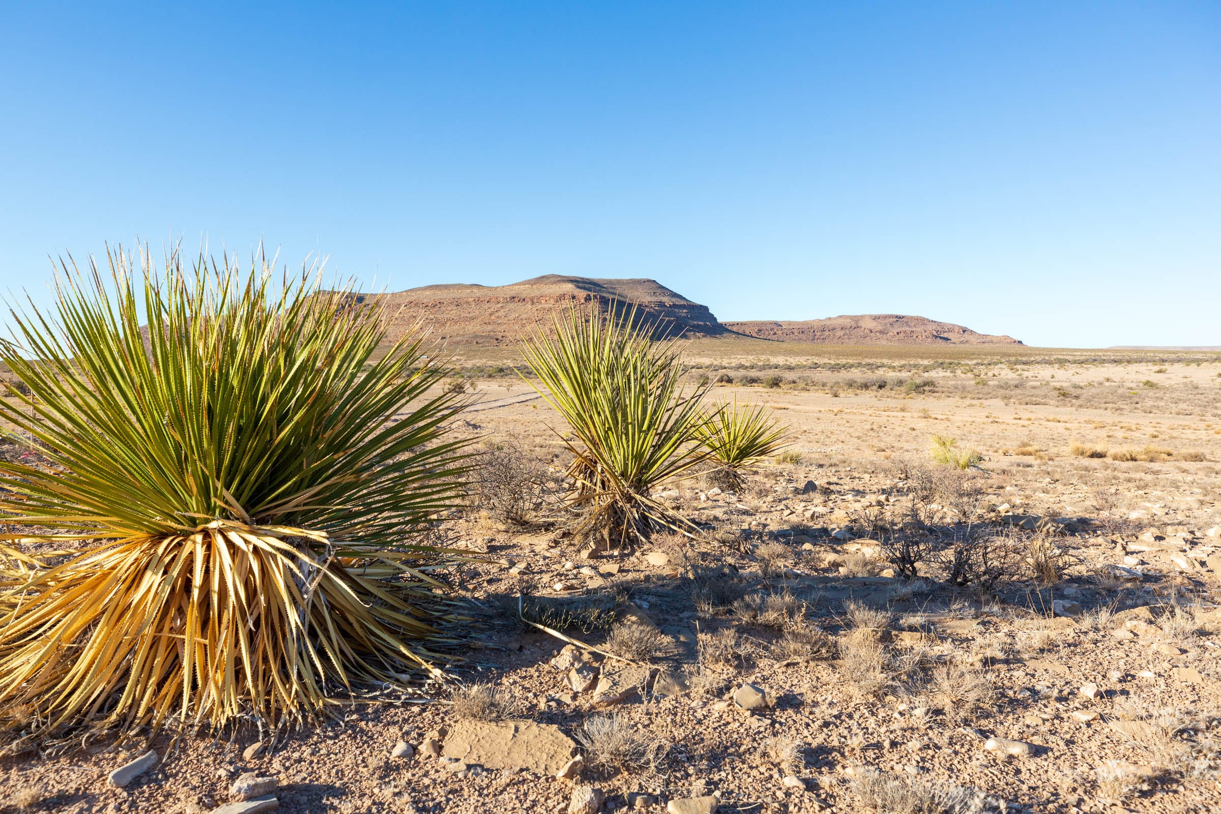 Sunrise Ranches Phase III Tract 90 photo 13
