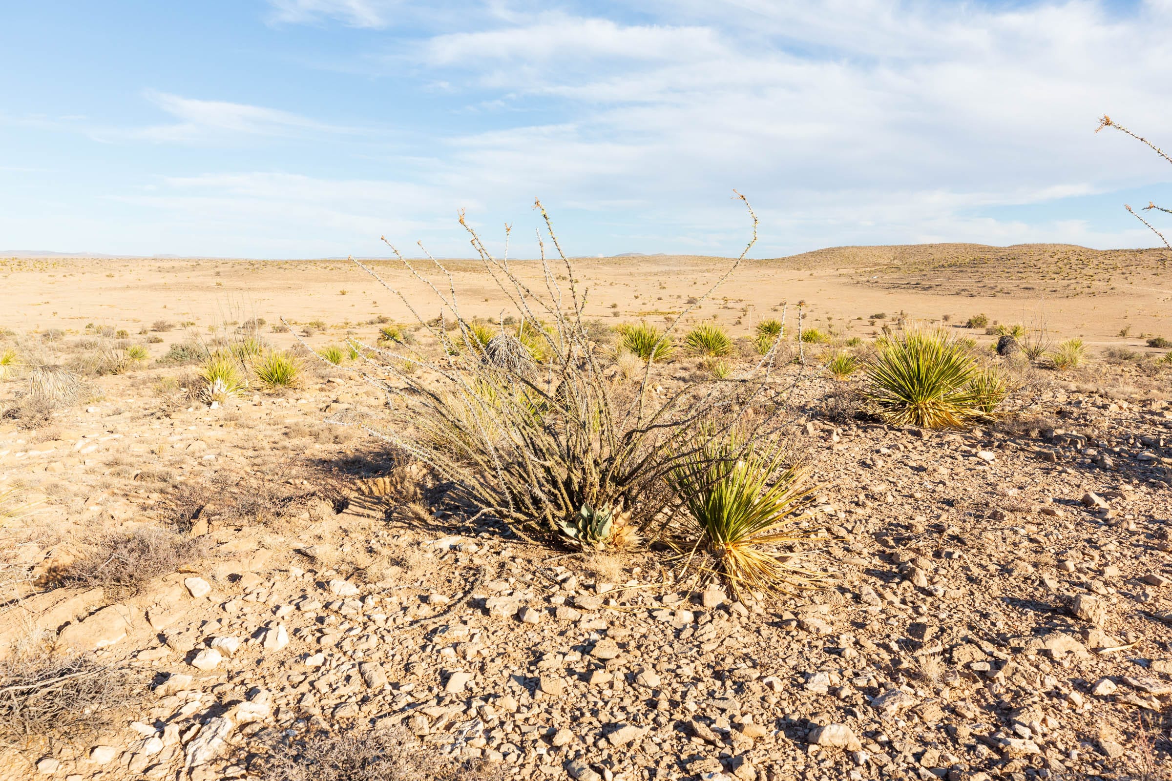 Sunrise Ranches Phase III Tract 90 photo 16
