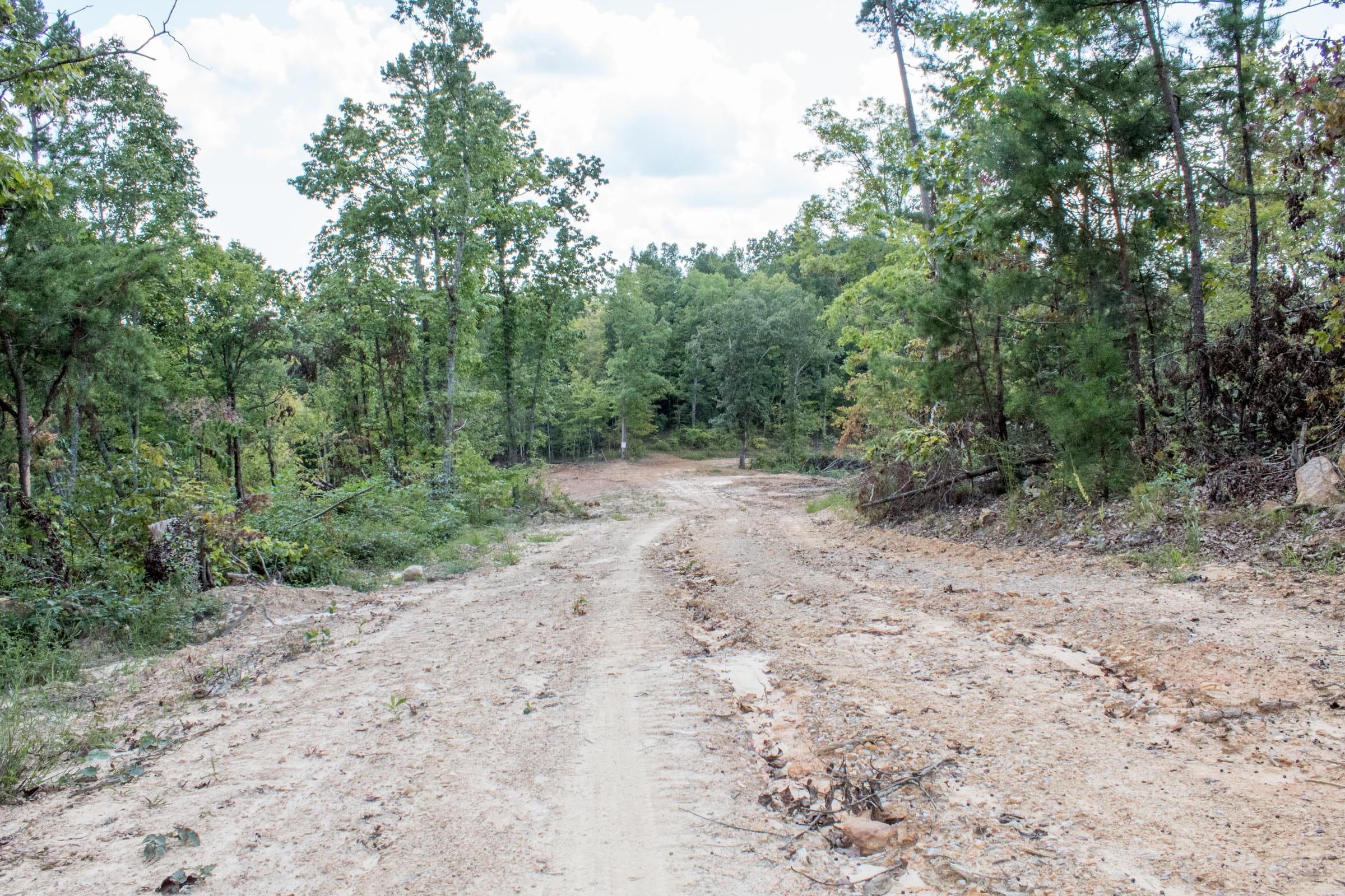 Buck Run Ridge Tract 24 photo 1