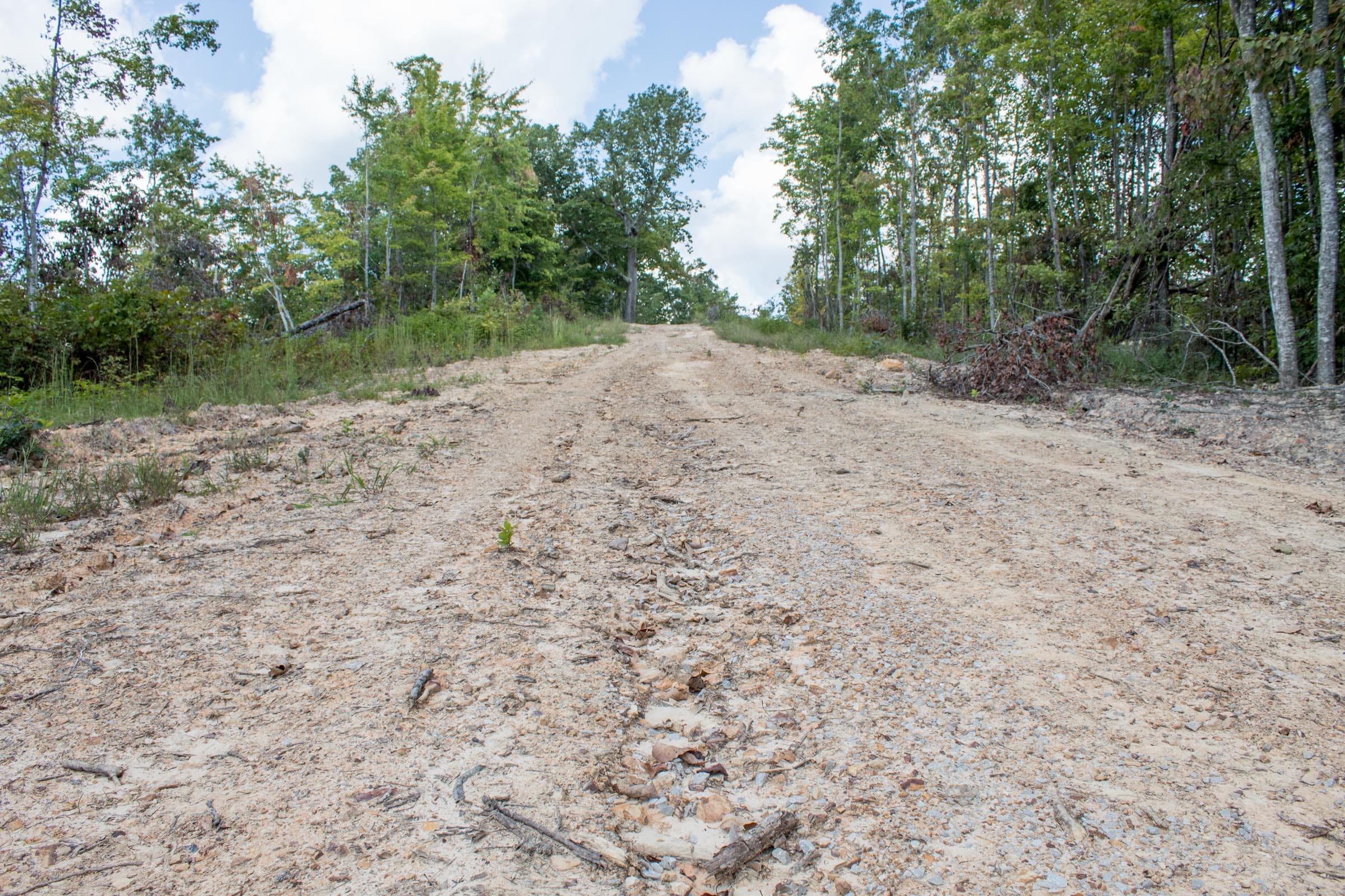 Buck Run Ridge Tract 24 photo 2