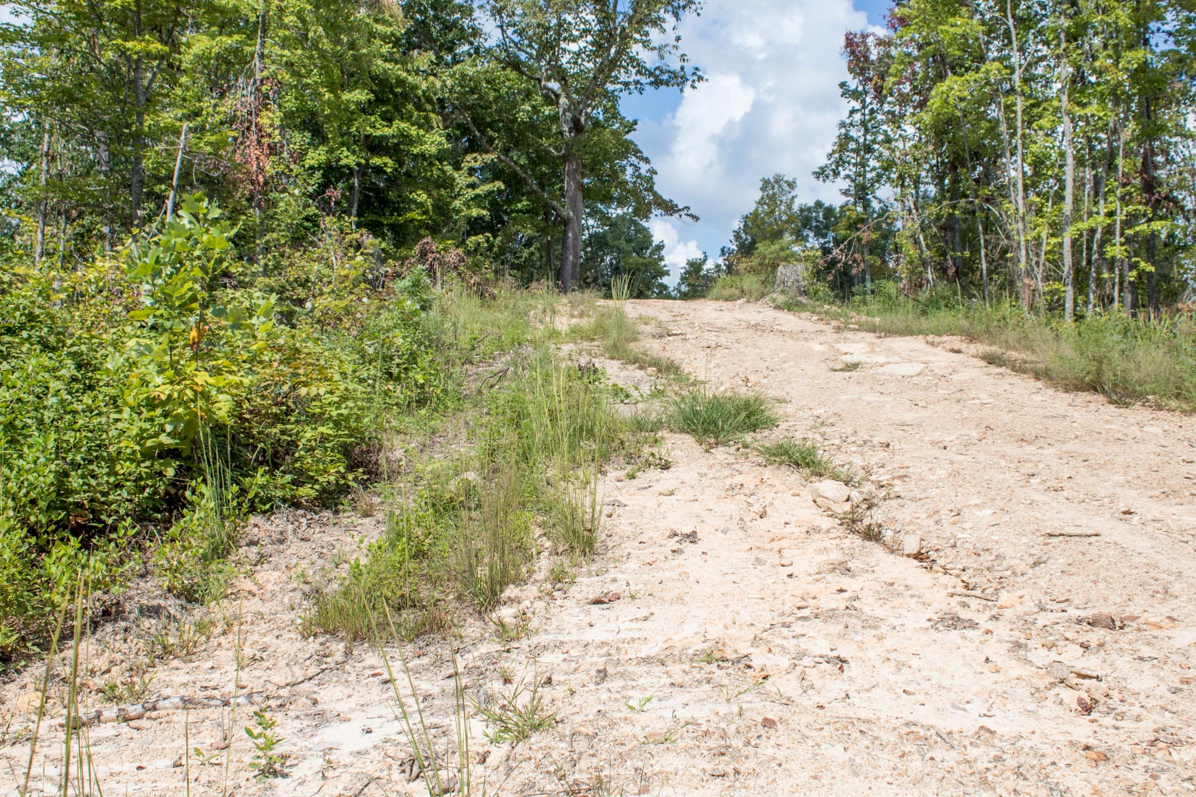 Buck Run Ridge Tract 24 photo 5