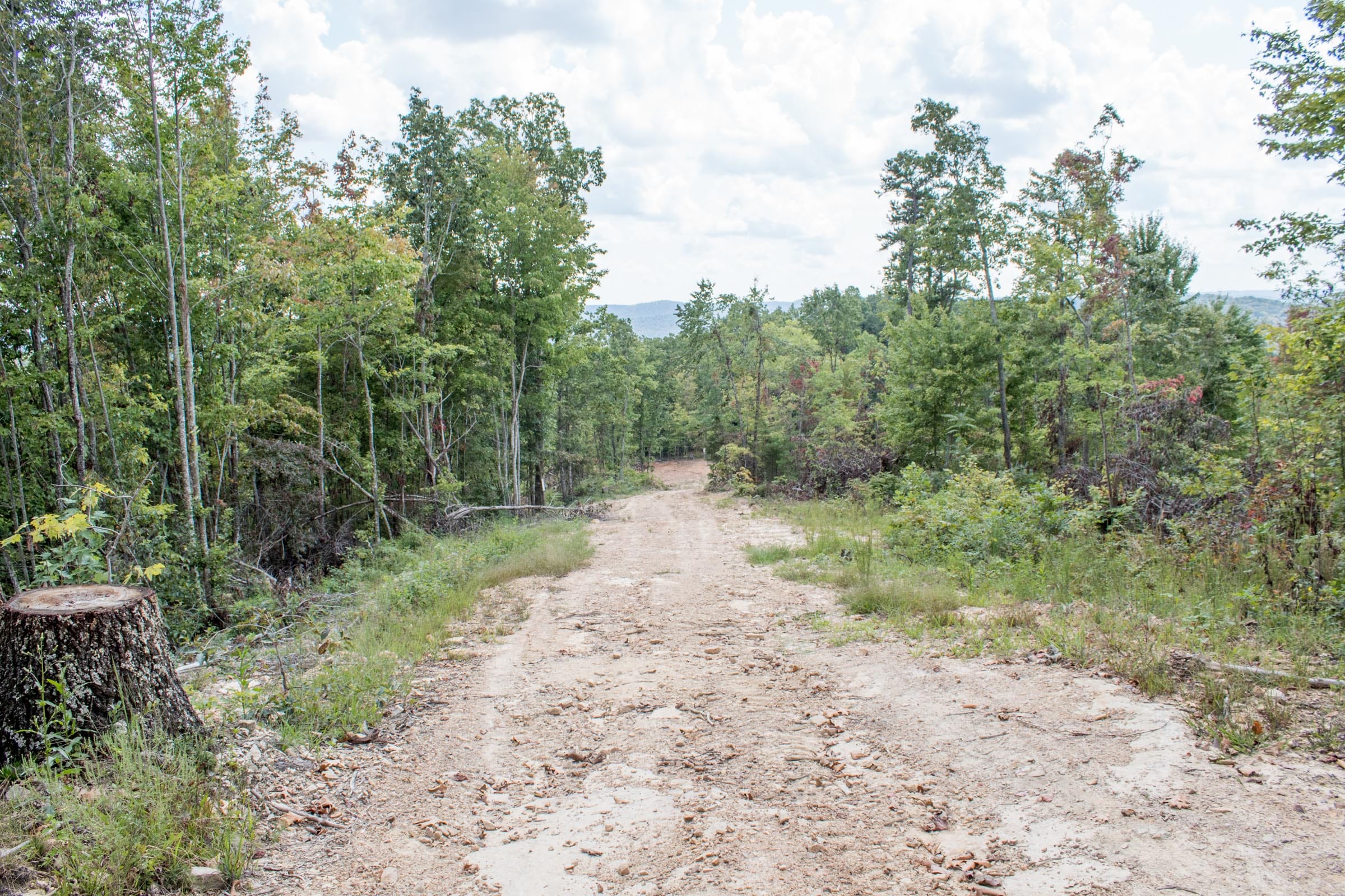 Buck Run Ridge Tract 24 photo 12