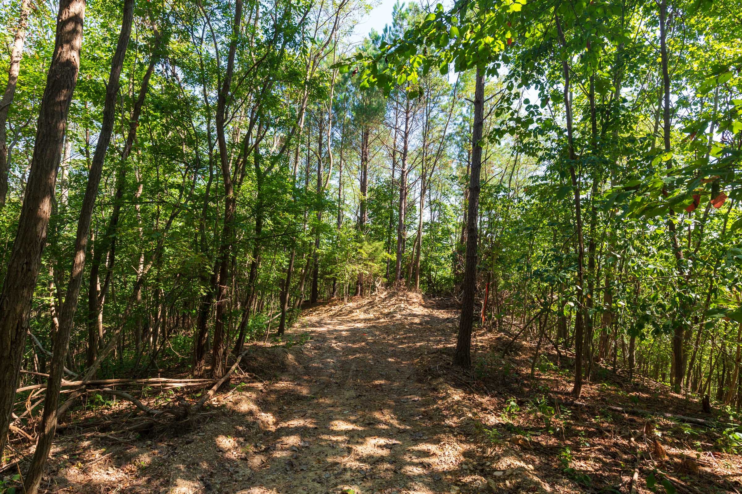 Redemption Ridge Tract 10 photo 4
