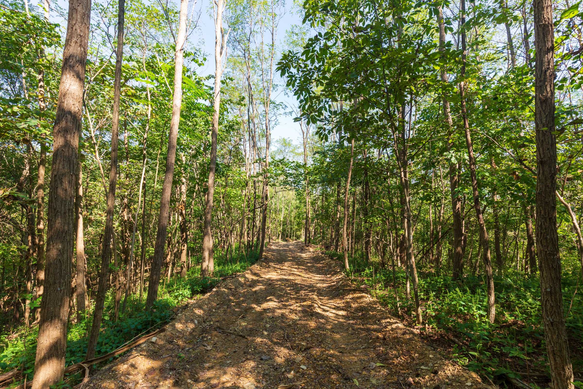 Redemption Ridge Tract 10 photo 8