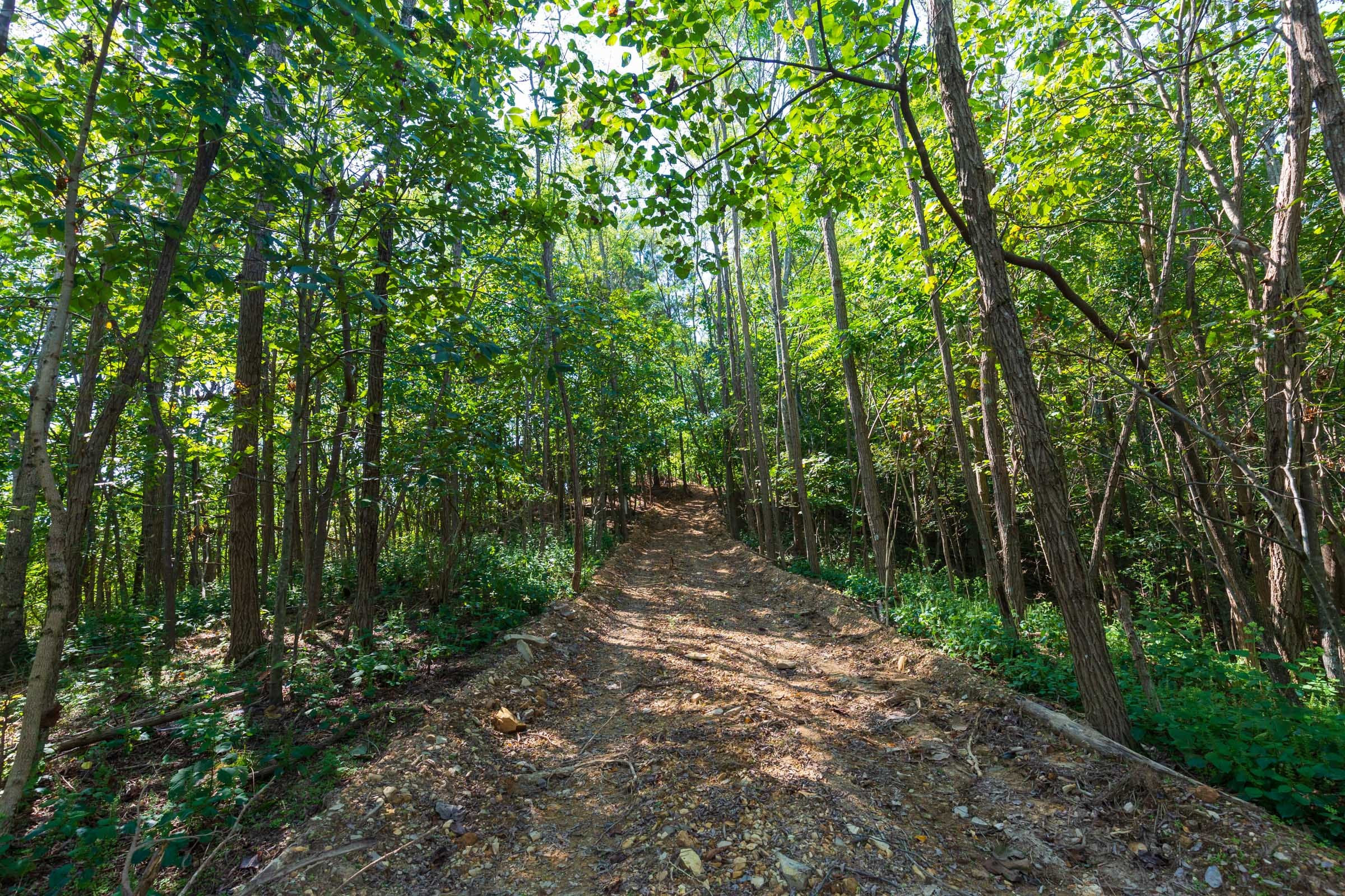 Redemption Ridge Tract 10 photo 7
