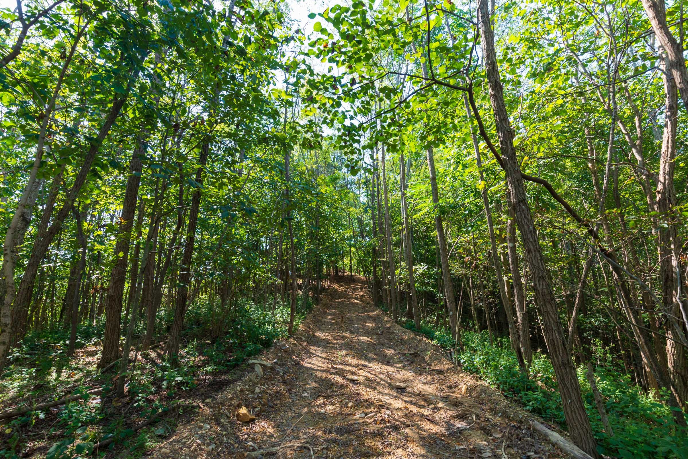 Redemption Ridge Tract 10 photo 11