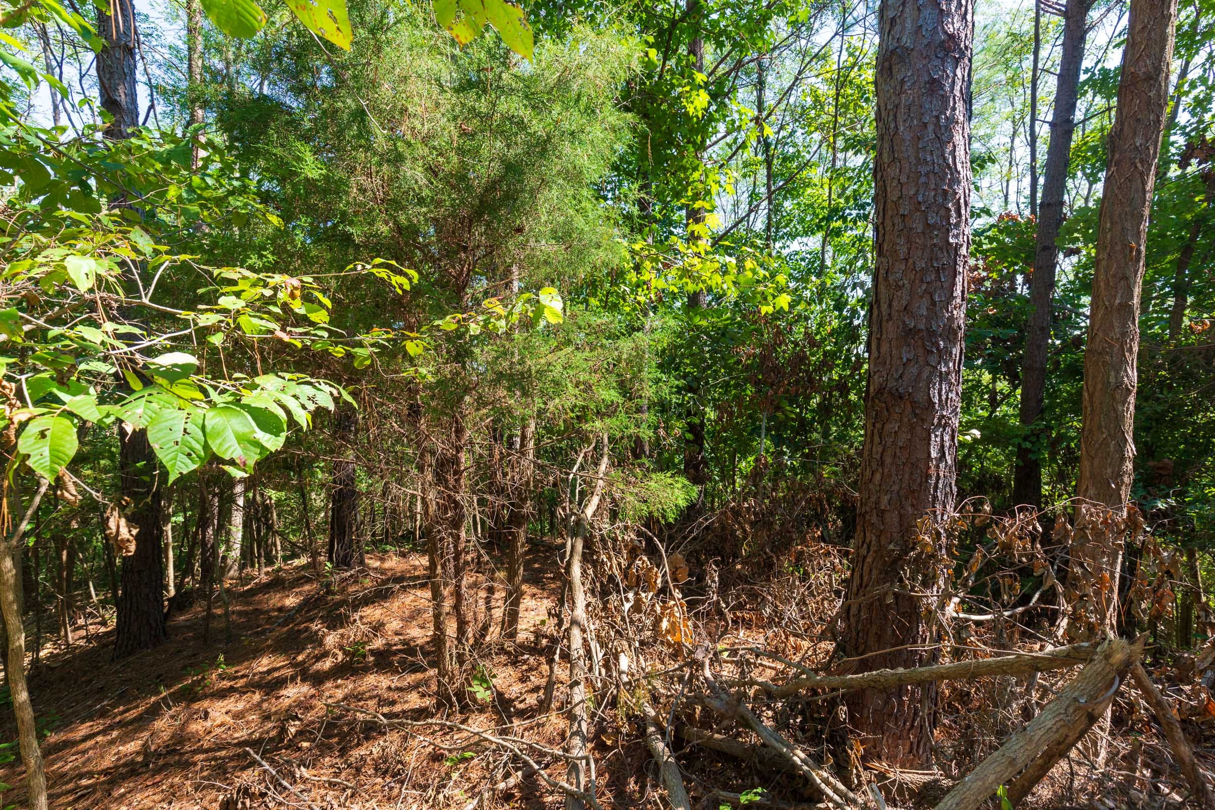 Redemption Ridge Tract 10 photo 12