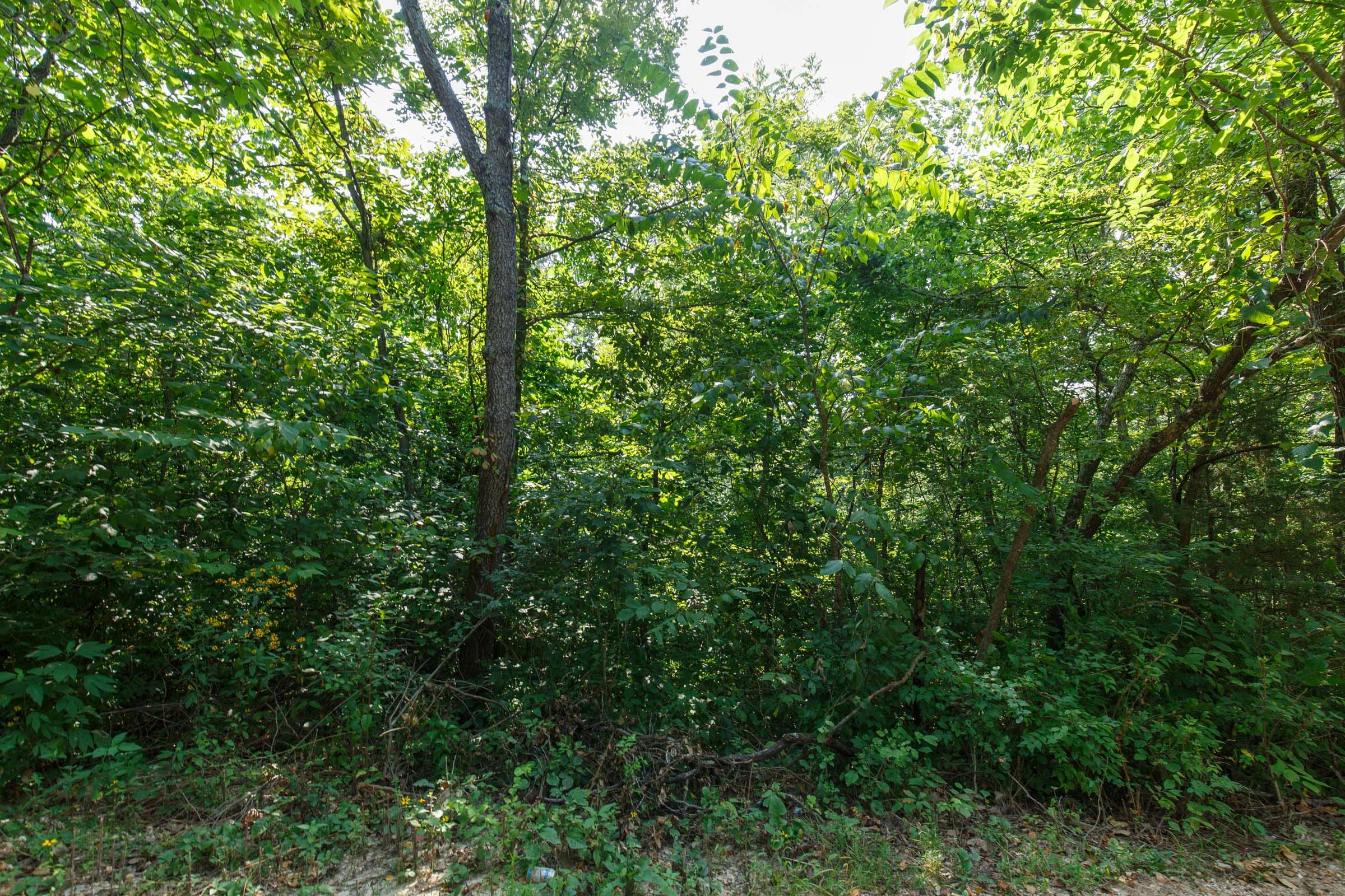 Spring Lake Plat 2 Tract 12 photo 4