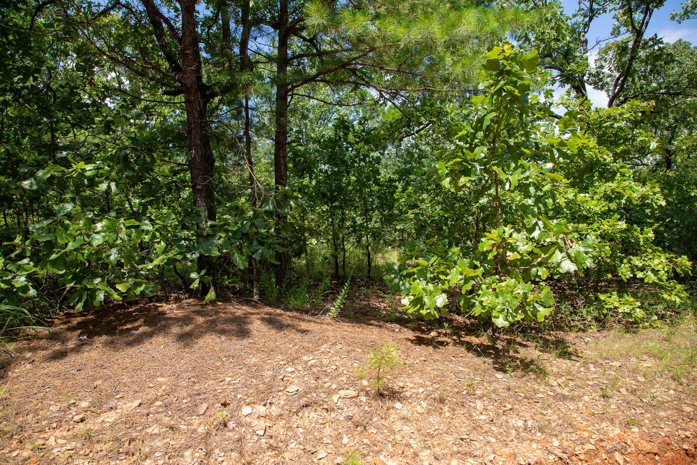 Tyler Stone Ranch Tract 29 photo 4