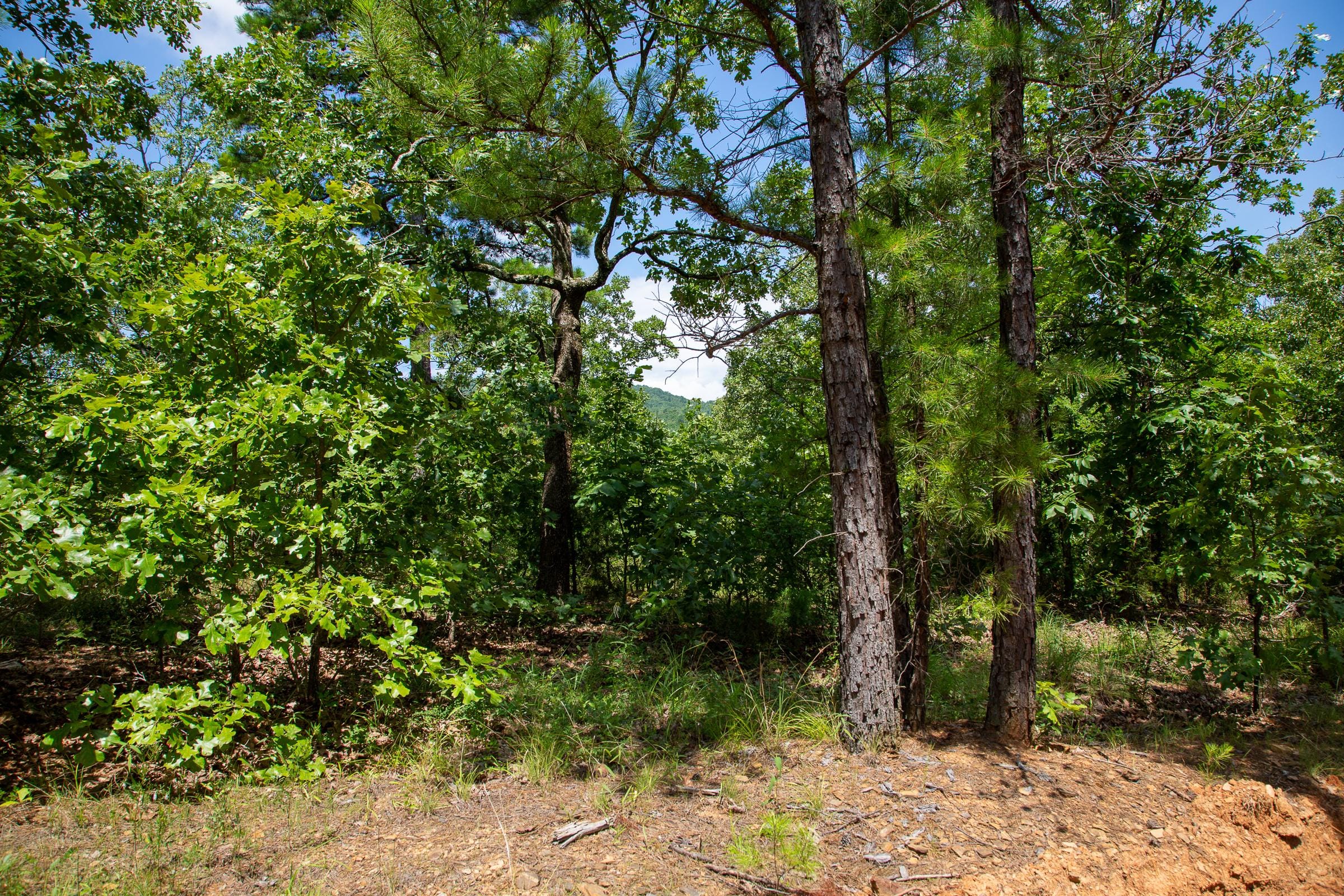 Tyler Stone Ranch Tract 29 photo 2