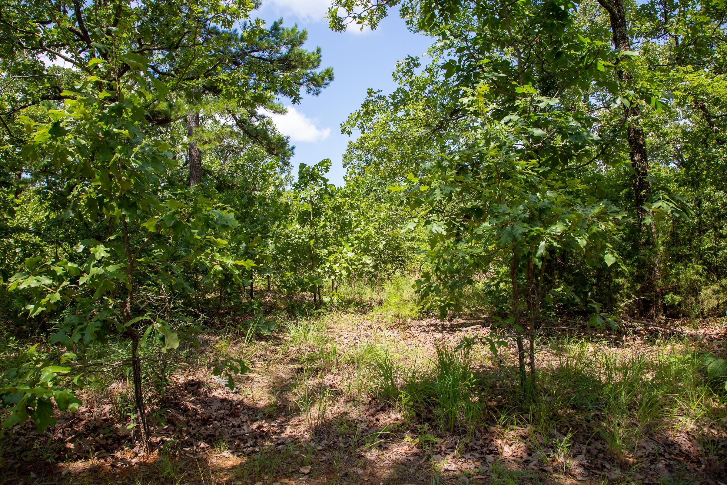 Tyler Stone Ranch Tract 29 photo 3