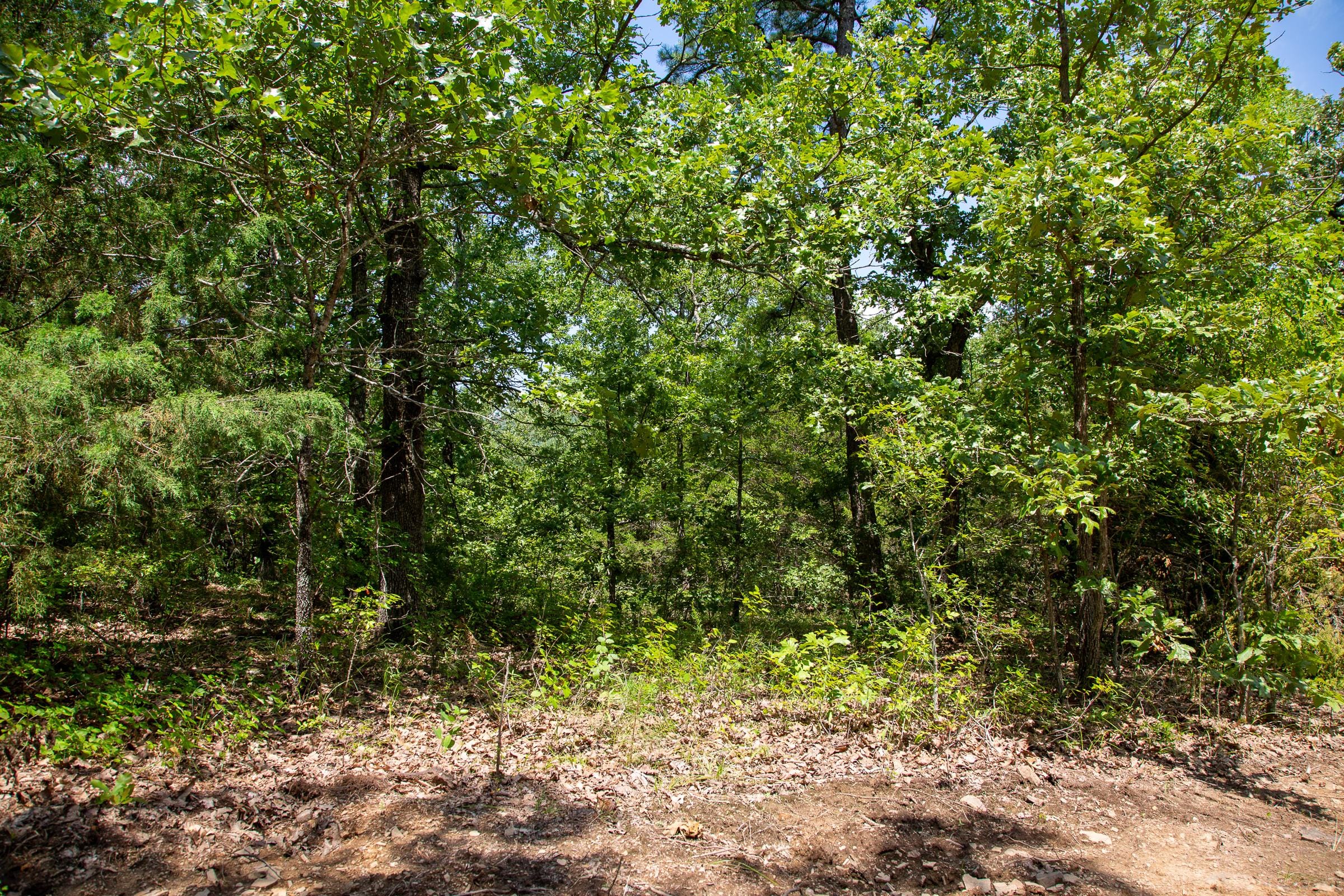Tyler Stone Ranch Tract 29 photo 5