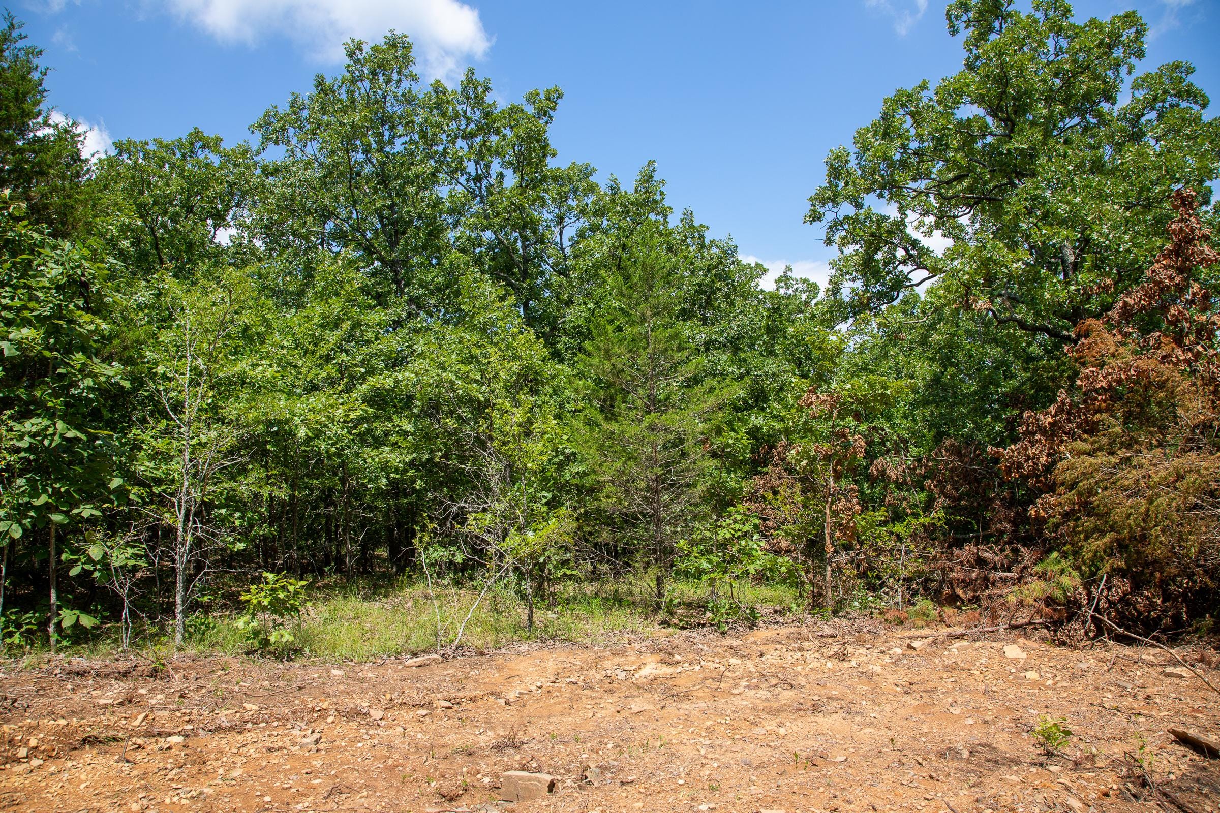 Tyler Stone Ranch Tract 29 photo 7