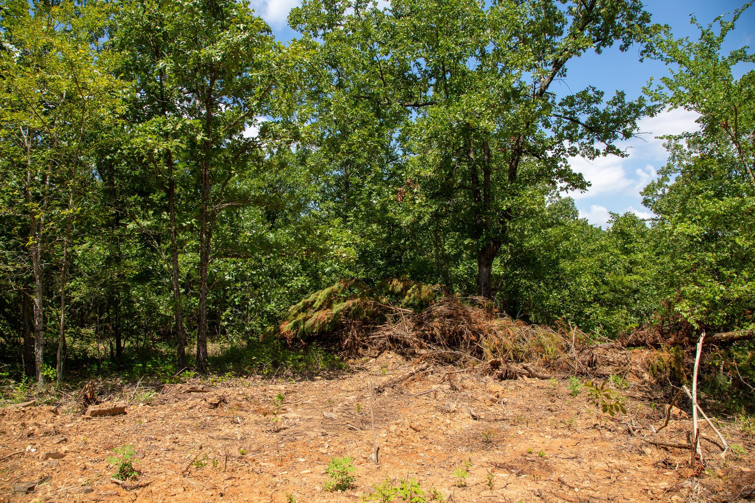 Tyler Stone Ranch Tract 29 photo 8