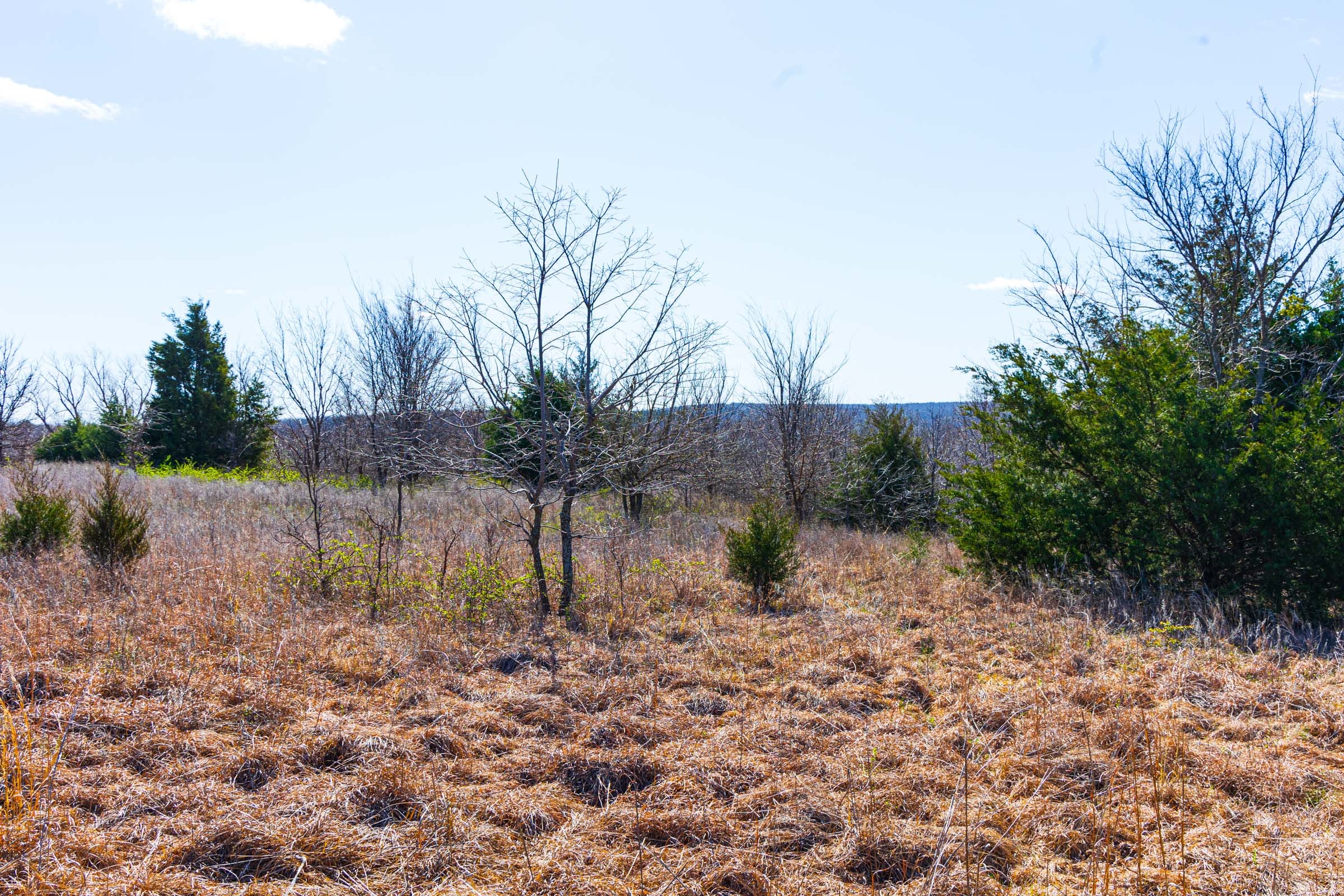 Reserves At Cattail Cove Phase I Tract 32 photo 9
