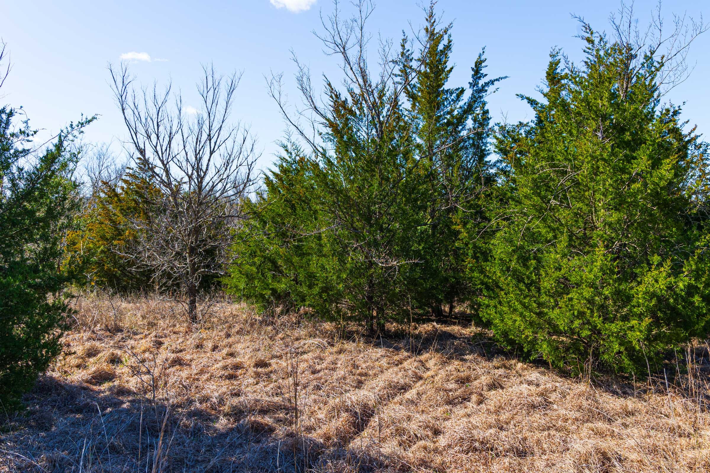Reserves At Cattail Cove Phase I Tract 32 photo 7
