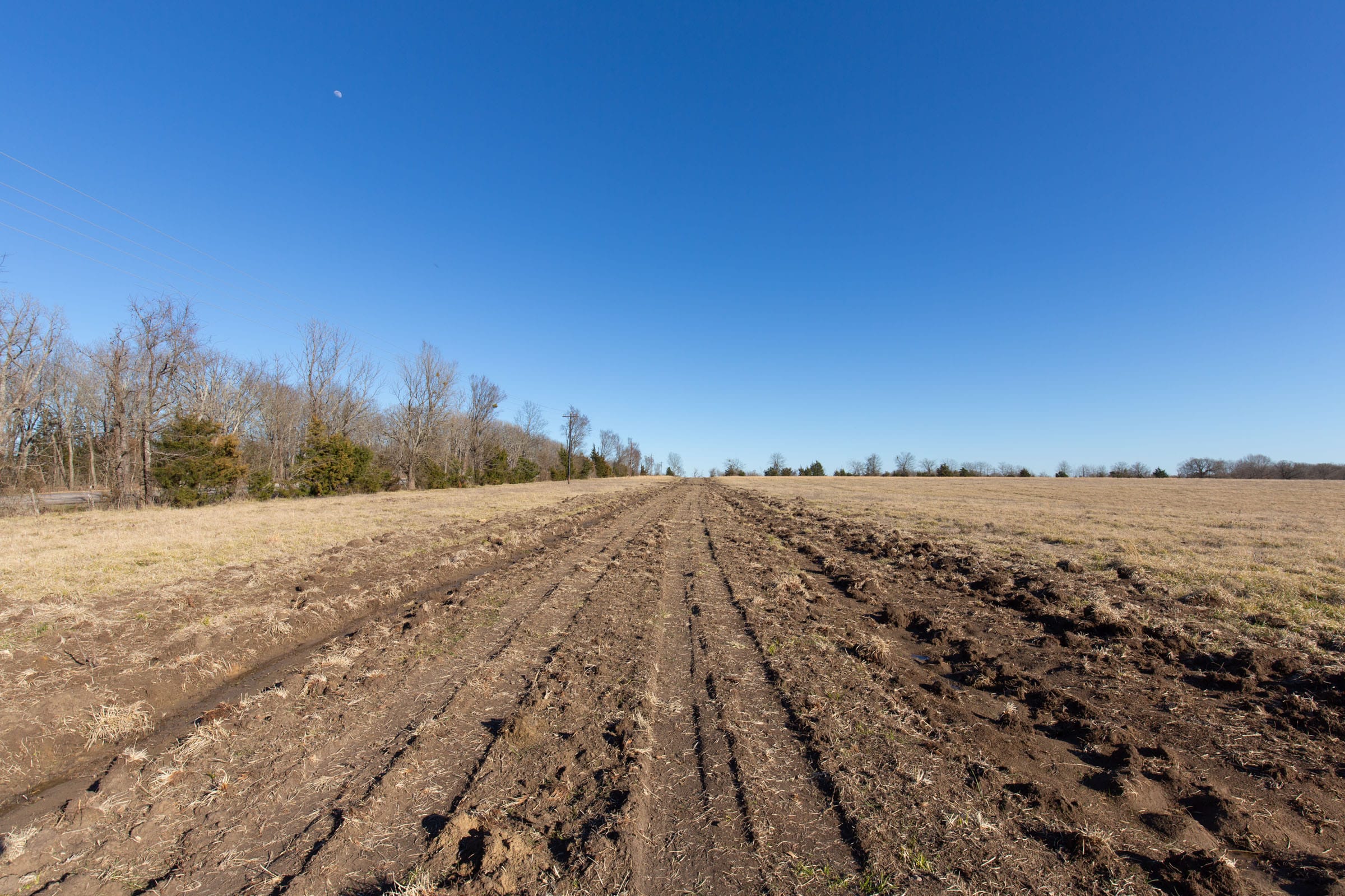 Wishing Star Ranch Tract 9 photo 6
