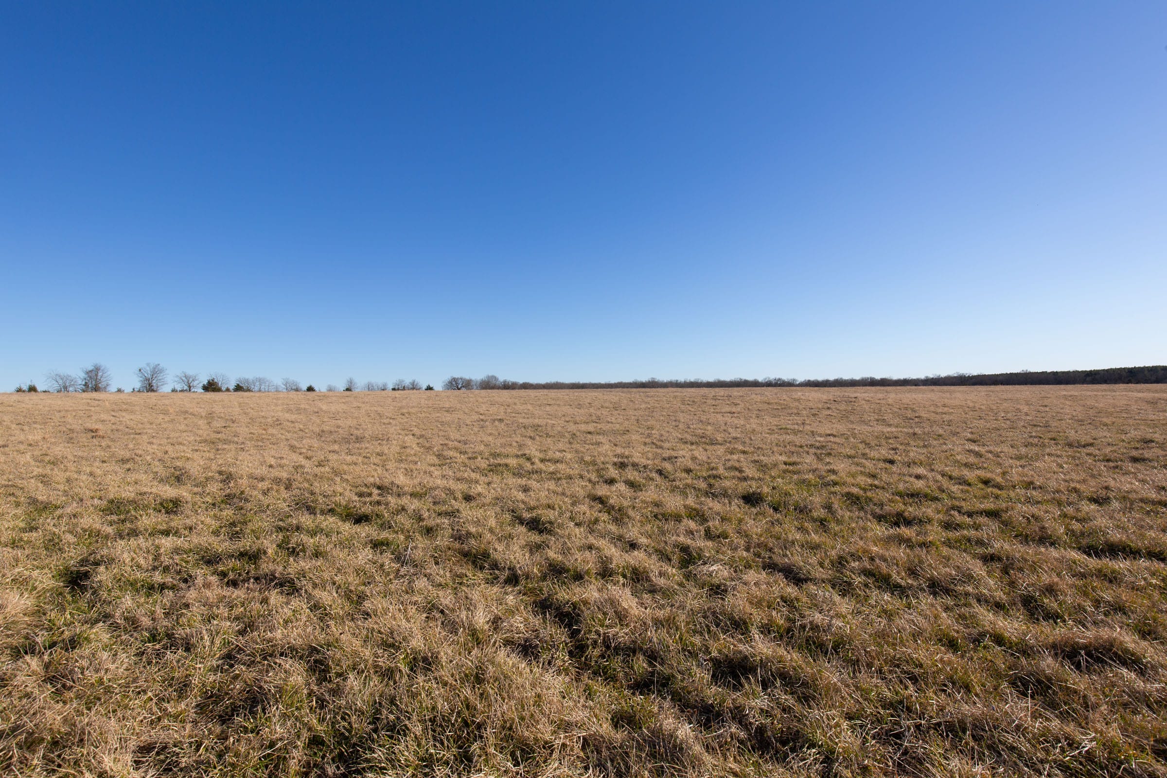 Wishing Star Ranch Tract 9 photo 11