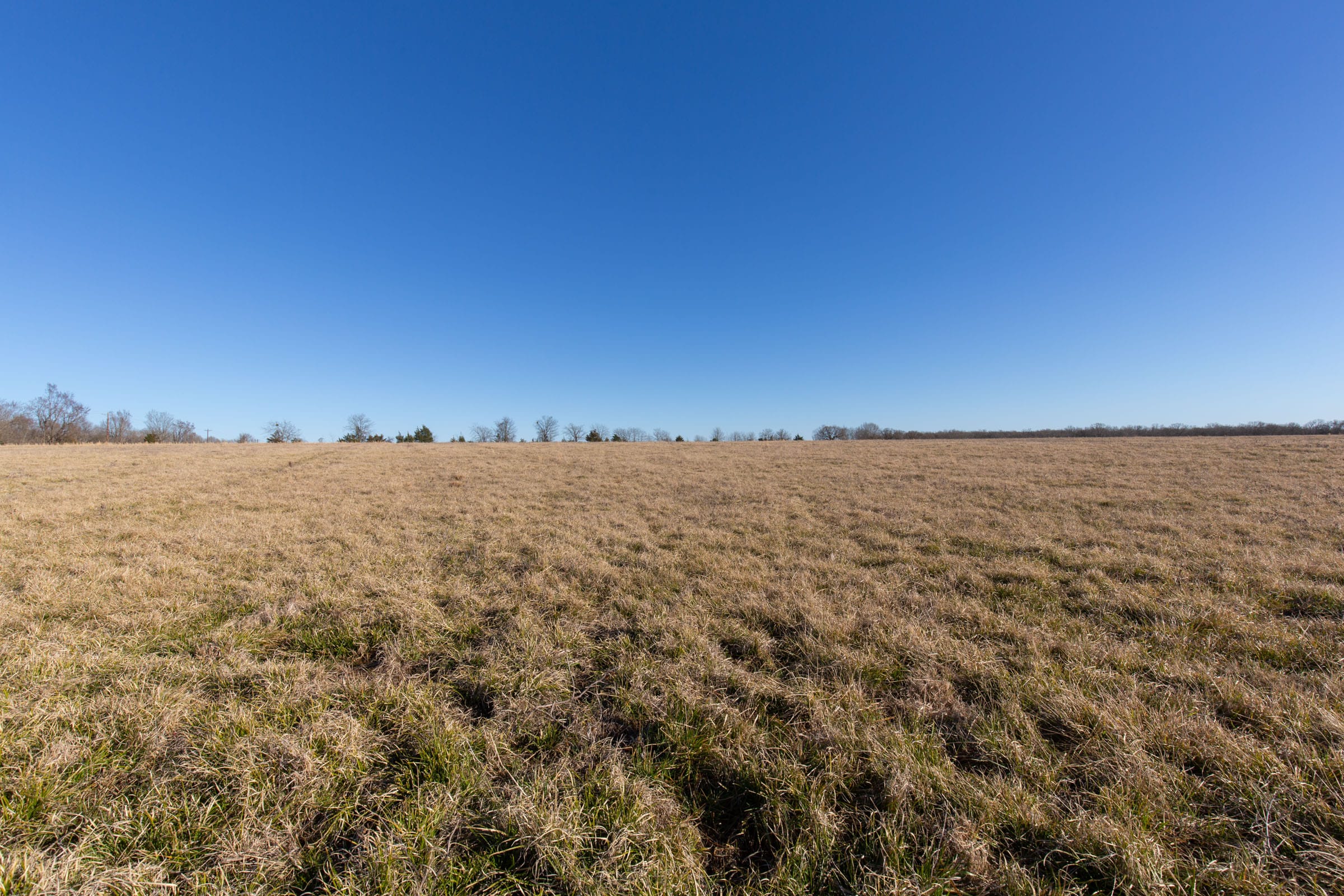 Wishing Star Ranch Tract 9 photo 12