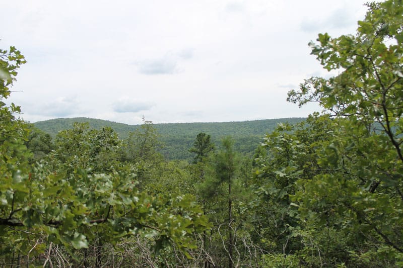 Trophy Ridge Phase III Tract 30 photo 4