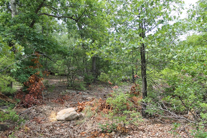 Trophy Ridge Phase III Tract 30 photo 1