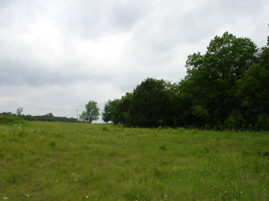 Red River Ranch Tract 3 photo 2