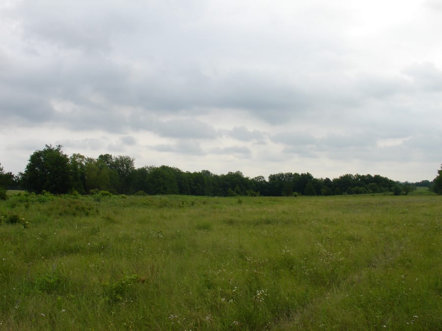 Red River Ranch Tract 3 photo 3