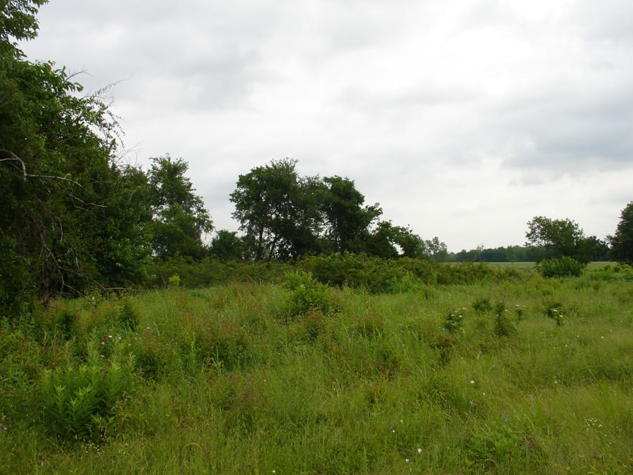 Red River Ranch Tract 3 photo 4