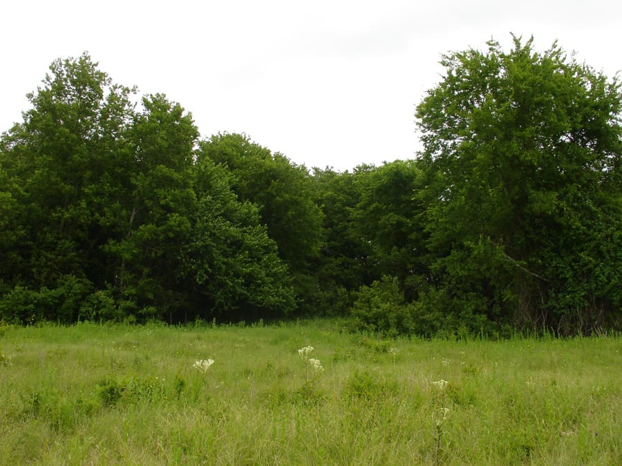 Red River Ranch Tract 3 photo 5