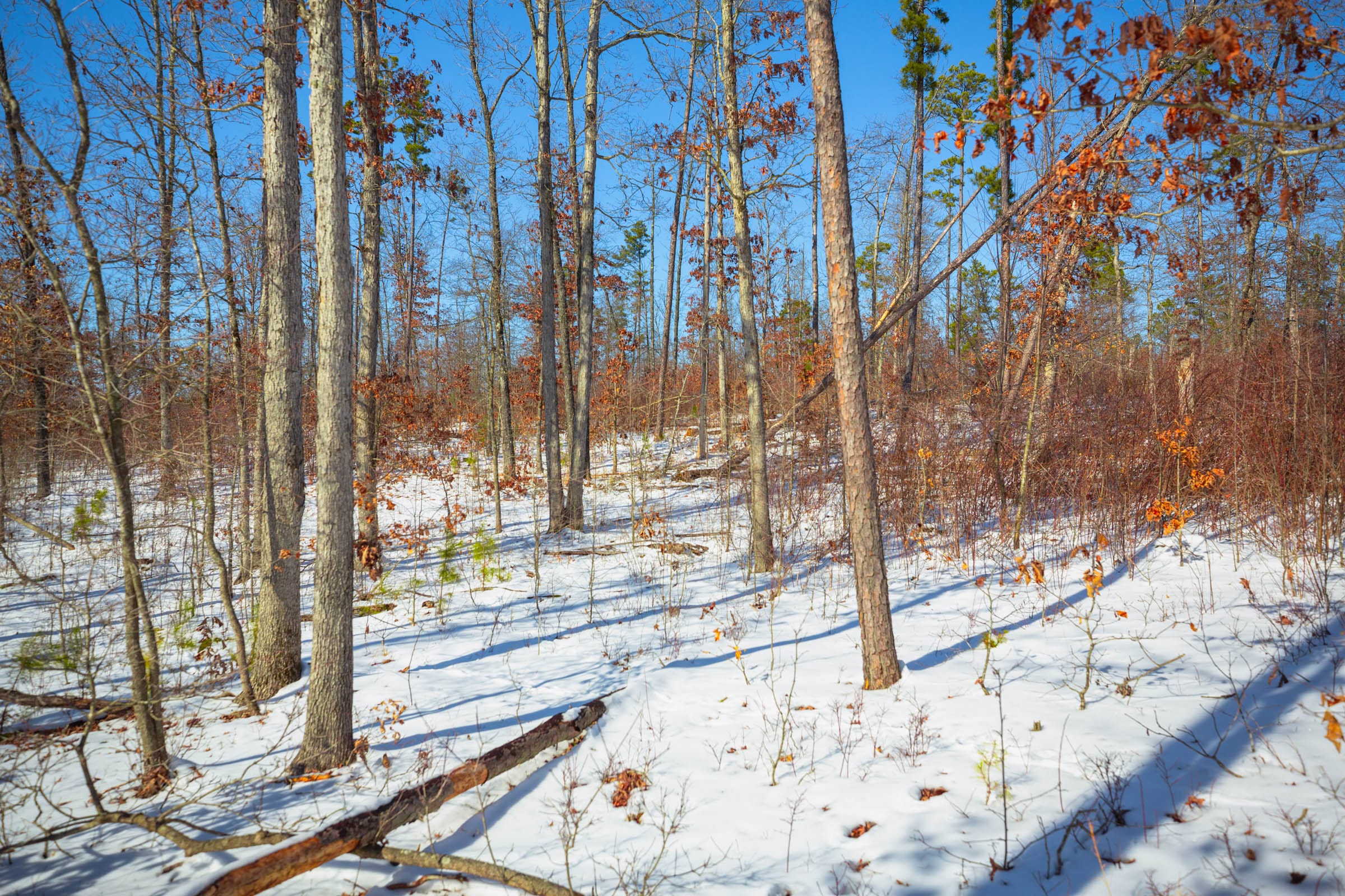 Sleepy Hollow Phase I Tract 13 photo 7