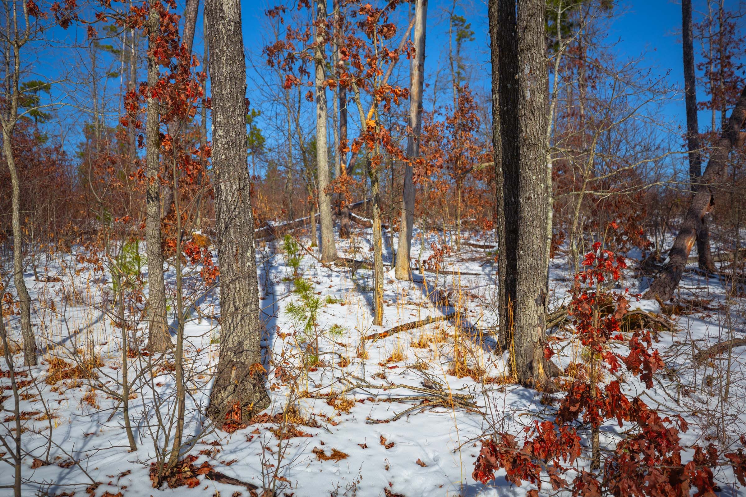 Sleepy Hollow Phase I Tract 13 photo 6