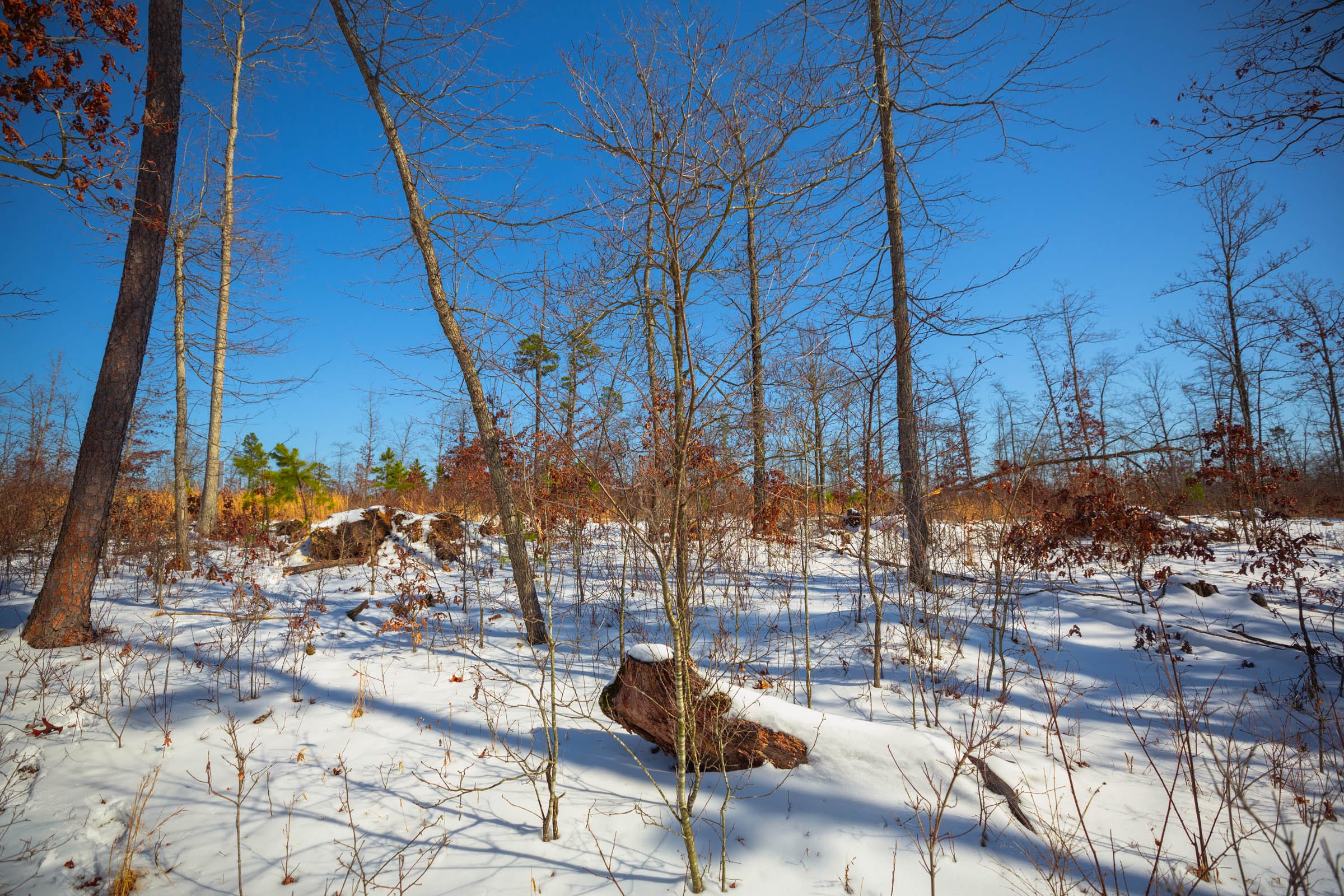 Sleepy Hollow Phase I Tract 13 photo 3