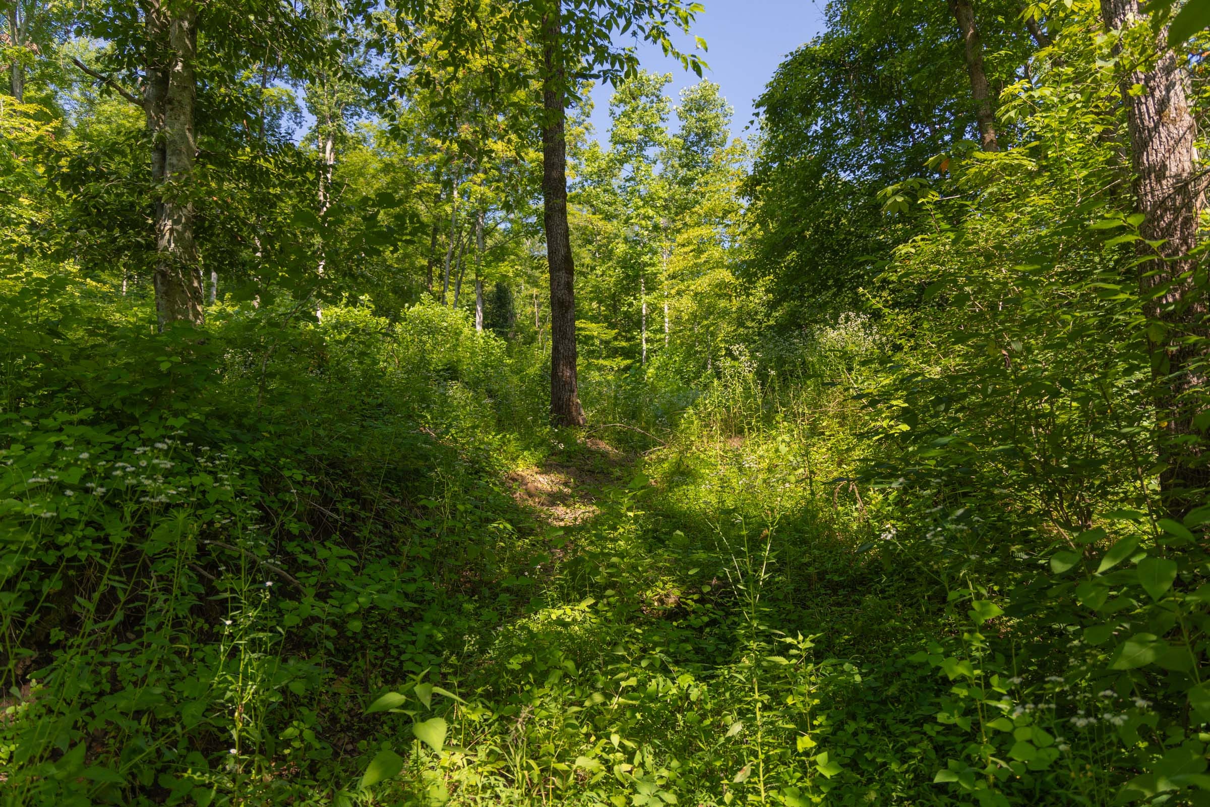 Creek Hollow Phase II Tract 77 photo 18