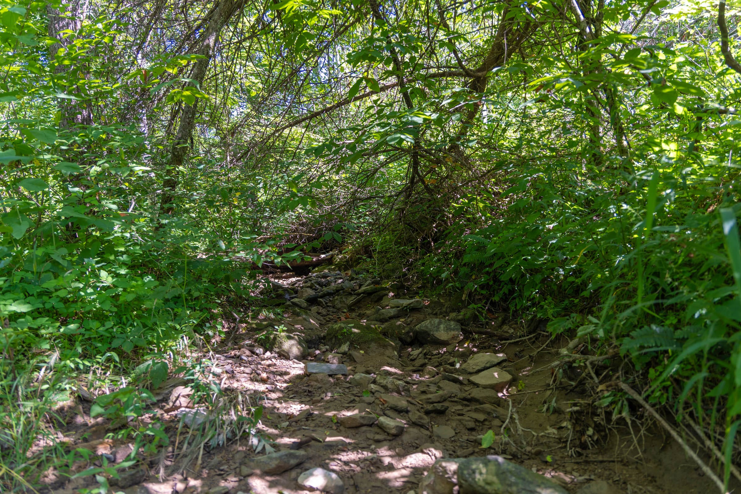 Creek Hollow Phase II Tract 77 photo 17