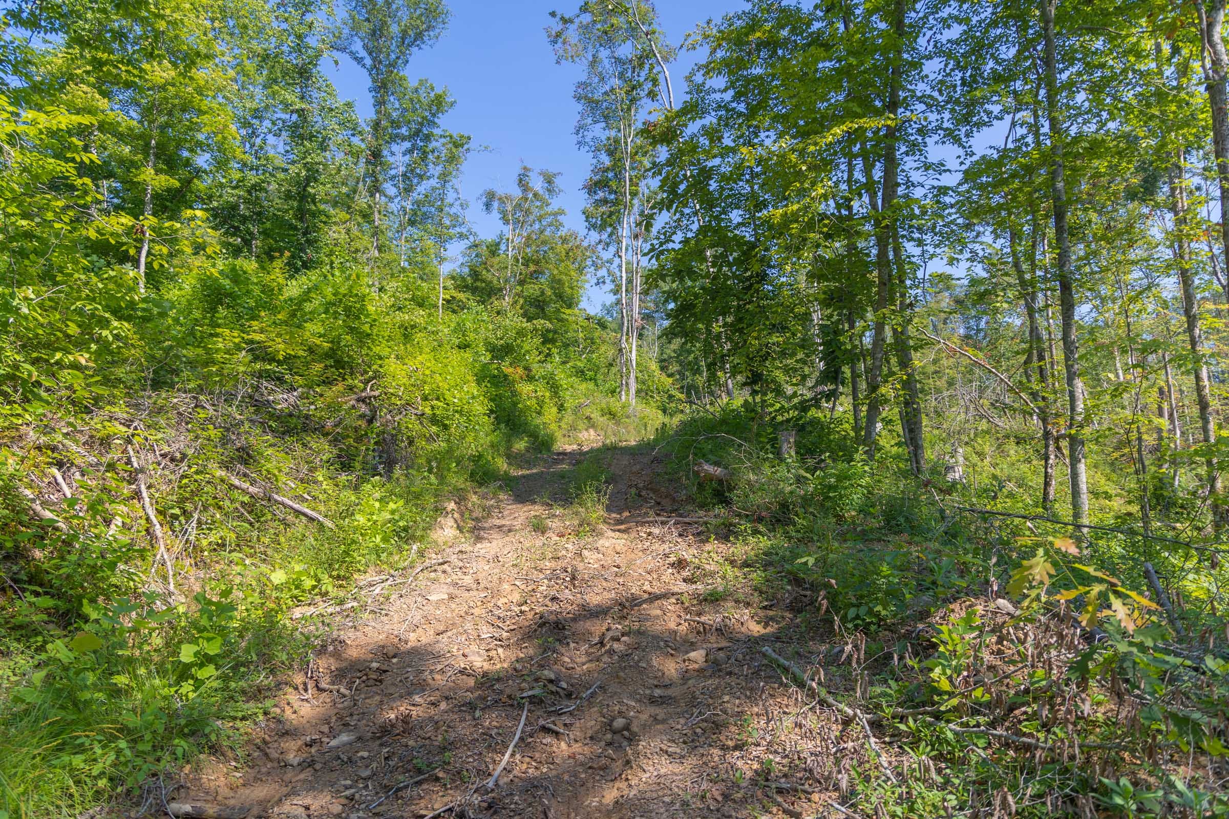 Creek Hollow Phase II Tract 77 photo 16