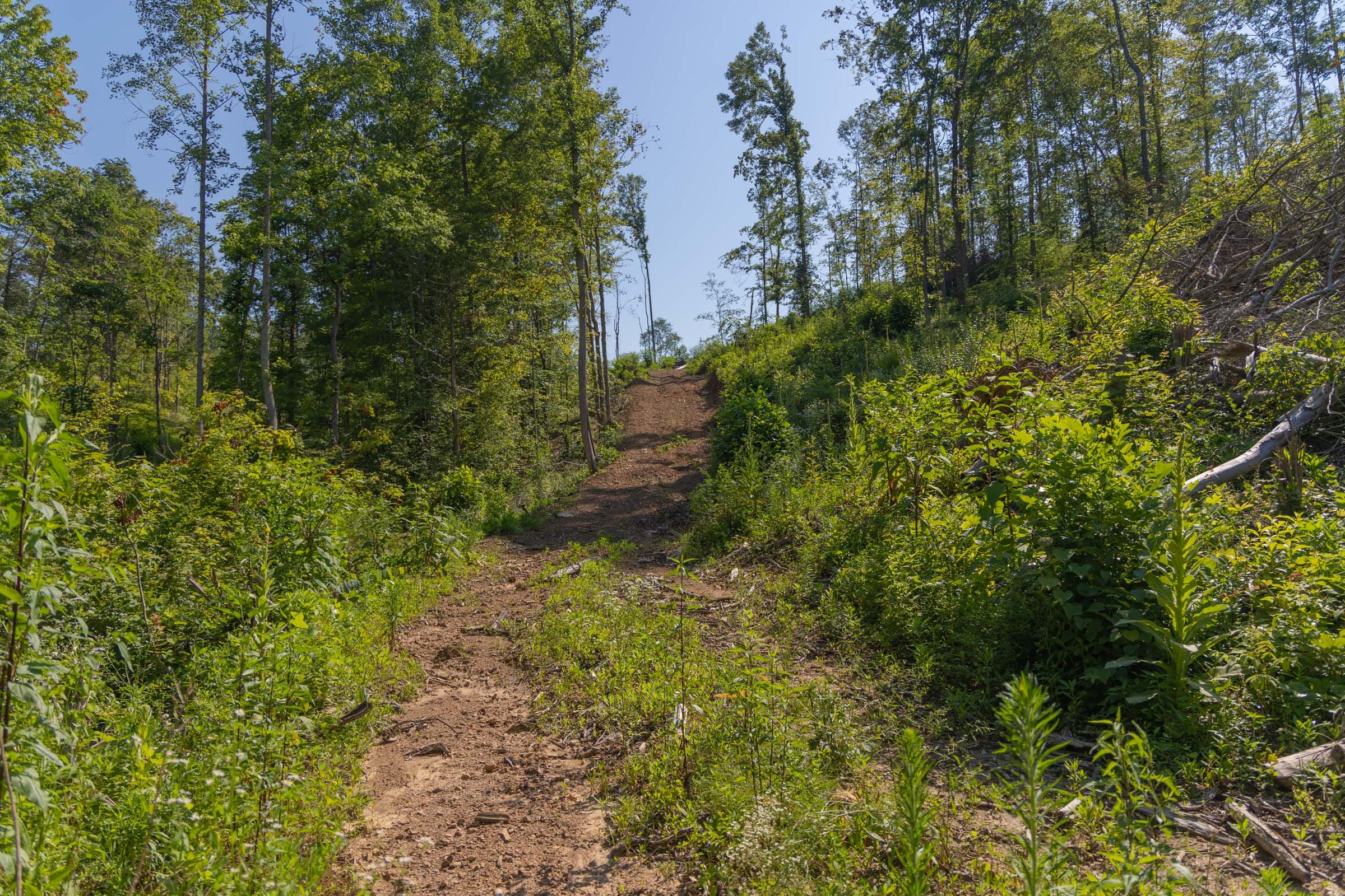 Creek Hollow Phase II Tract 77 photo 2