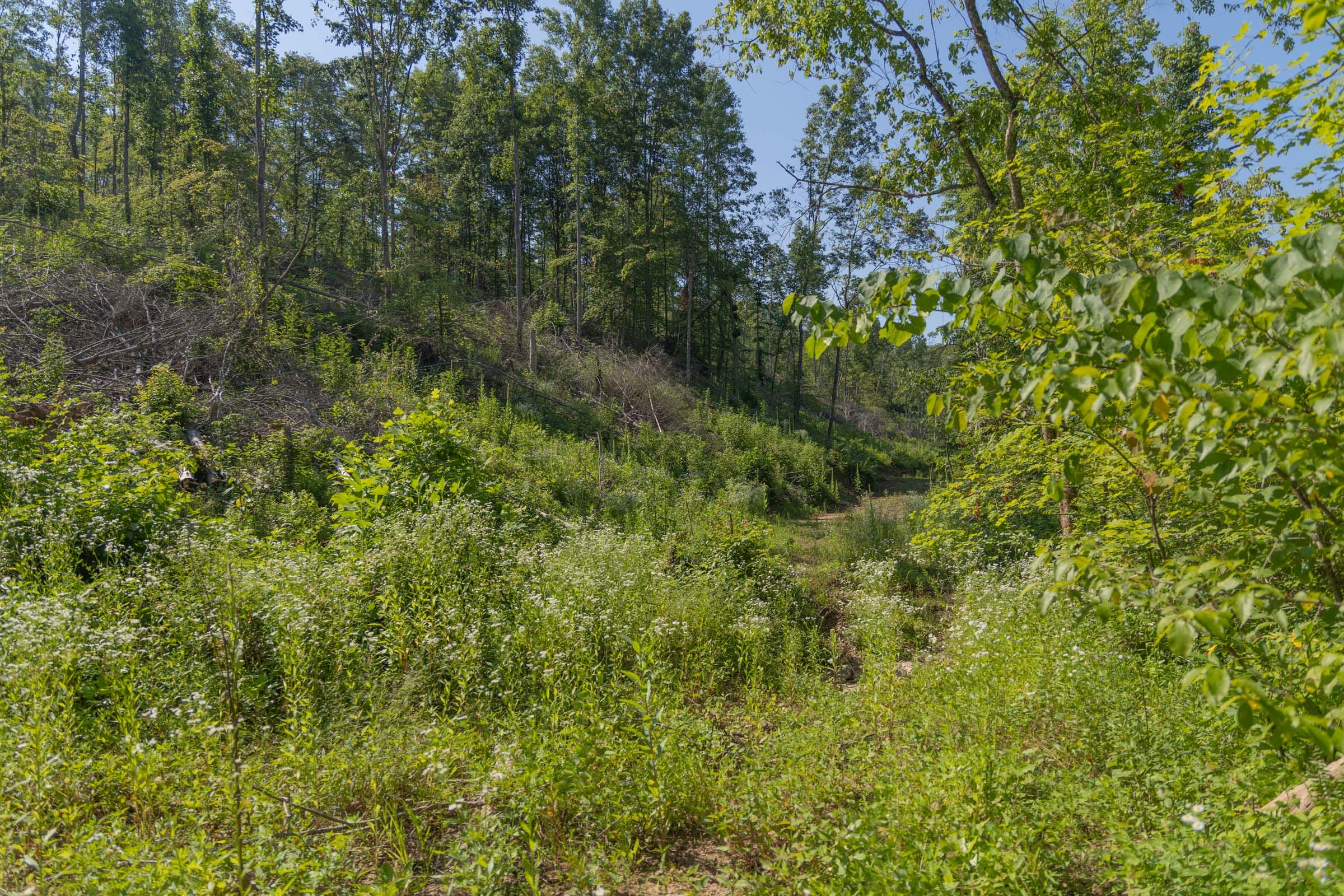 Creek Hollow Phase II Tract 77 photo 15