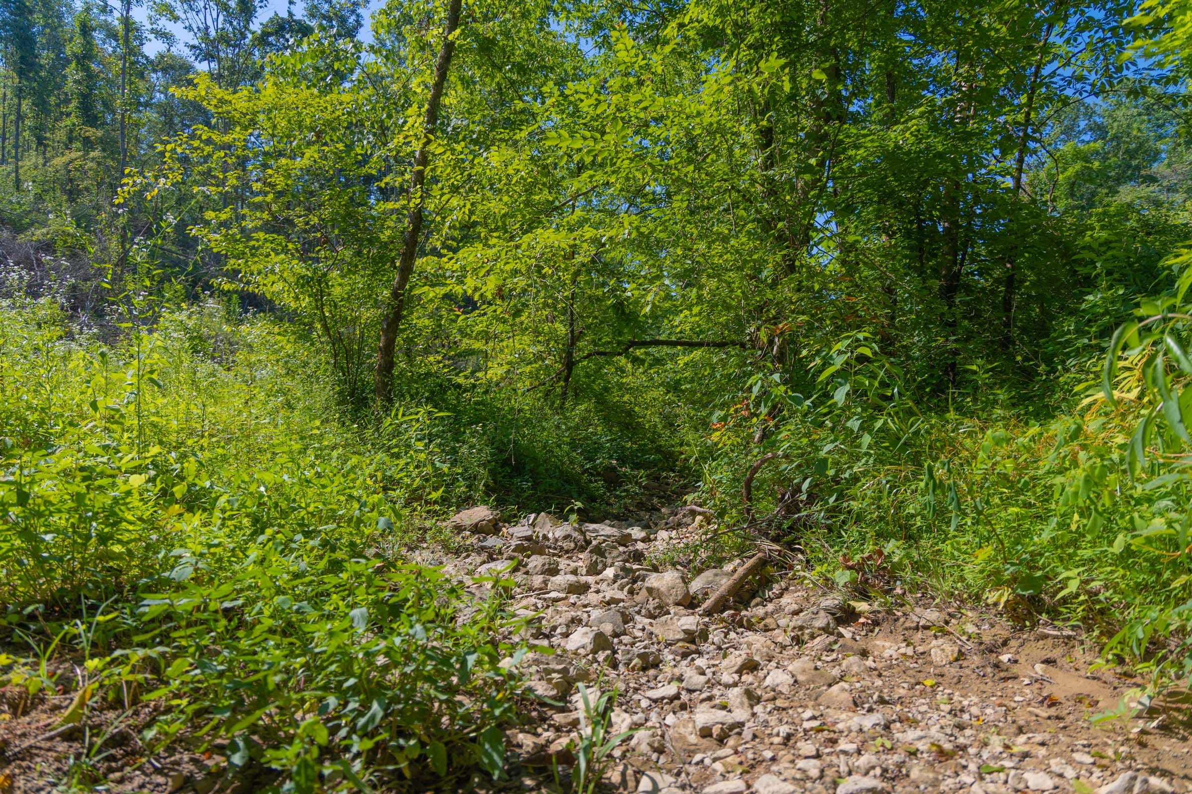 Creek Hollow Phase II Tract 77 photo 14