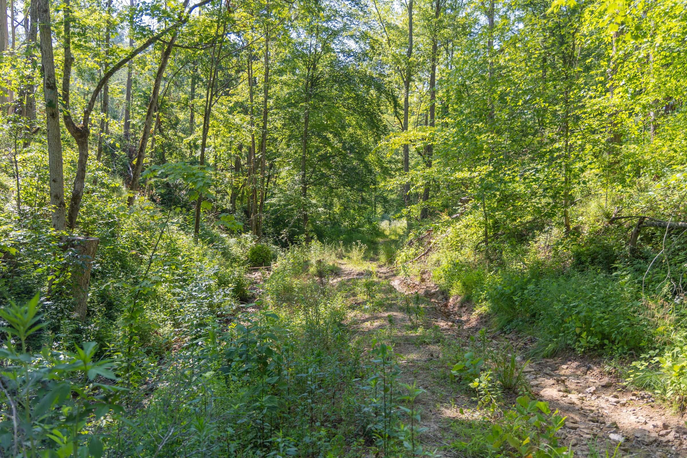 Creek Hollow Phase II Tract 77 photo 13