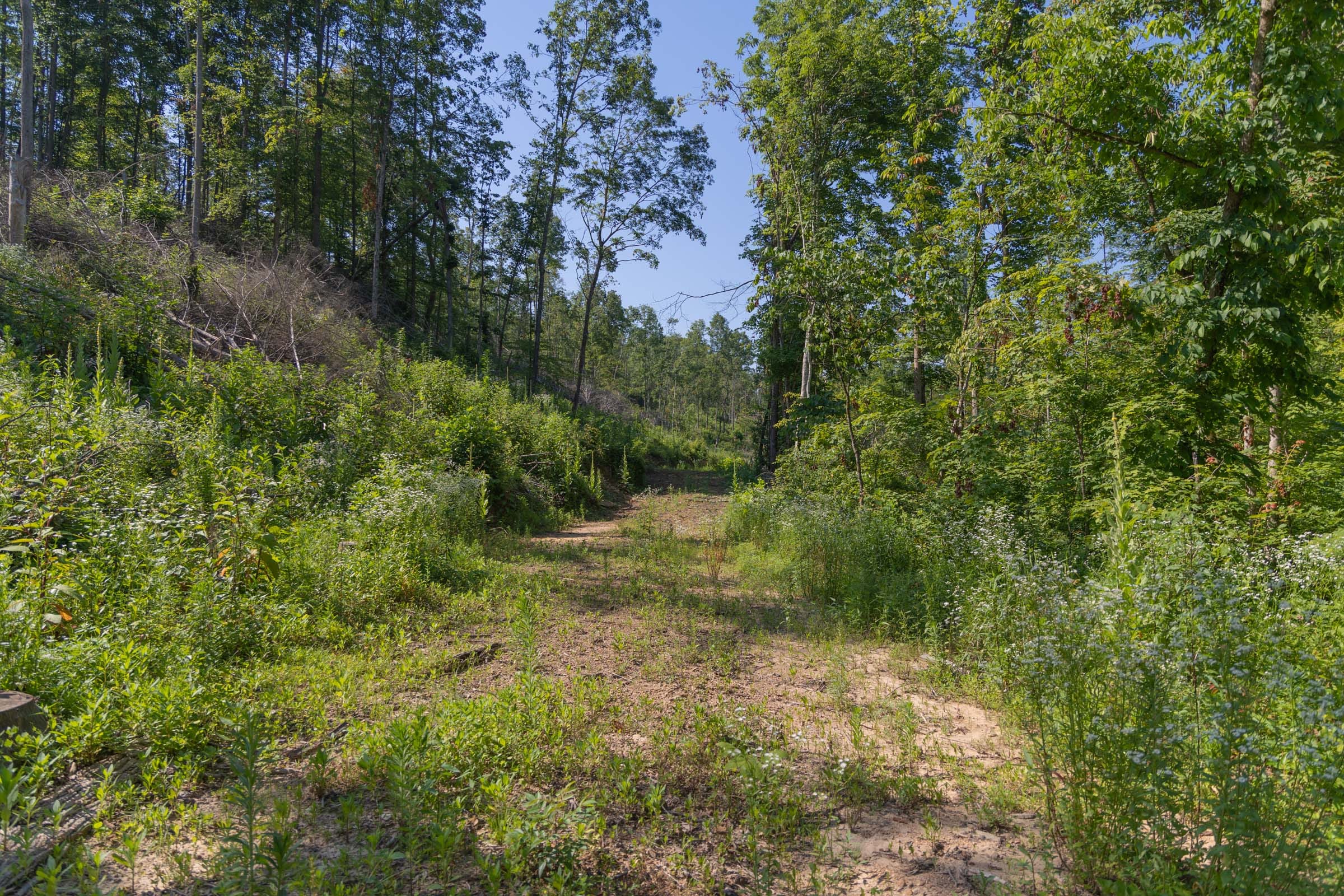 Creek Hollow Phase II Tract 77 photo 12