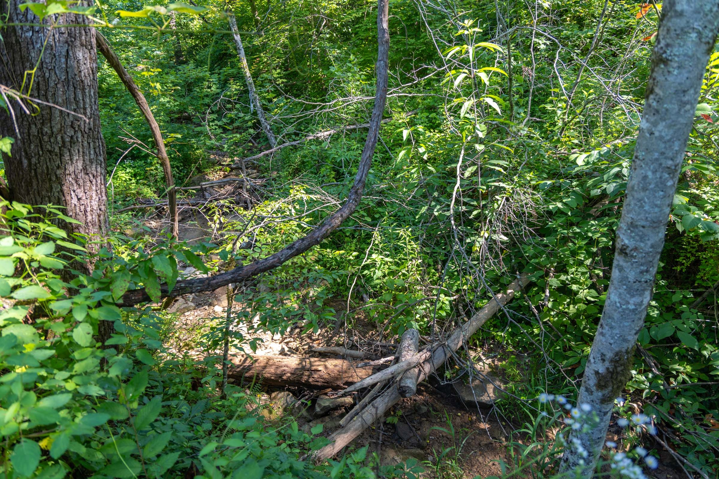 Creek Hollow Phase II Tract 77 photo 11